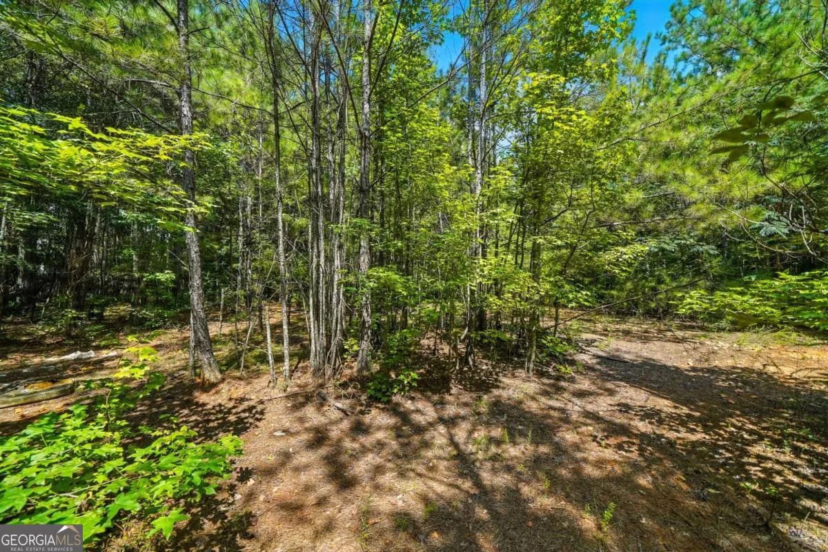 0 Sleepy Hollow Dr — photo 4 of 11