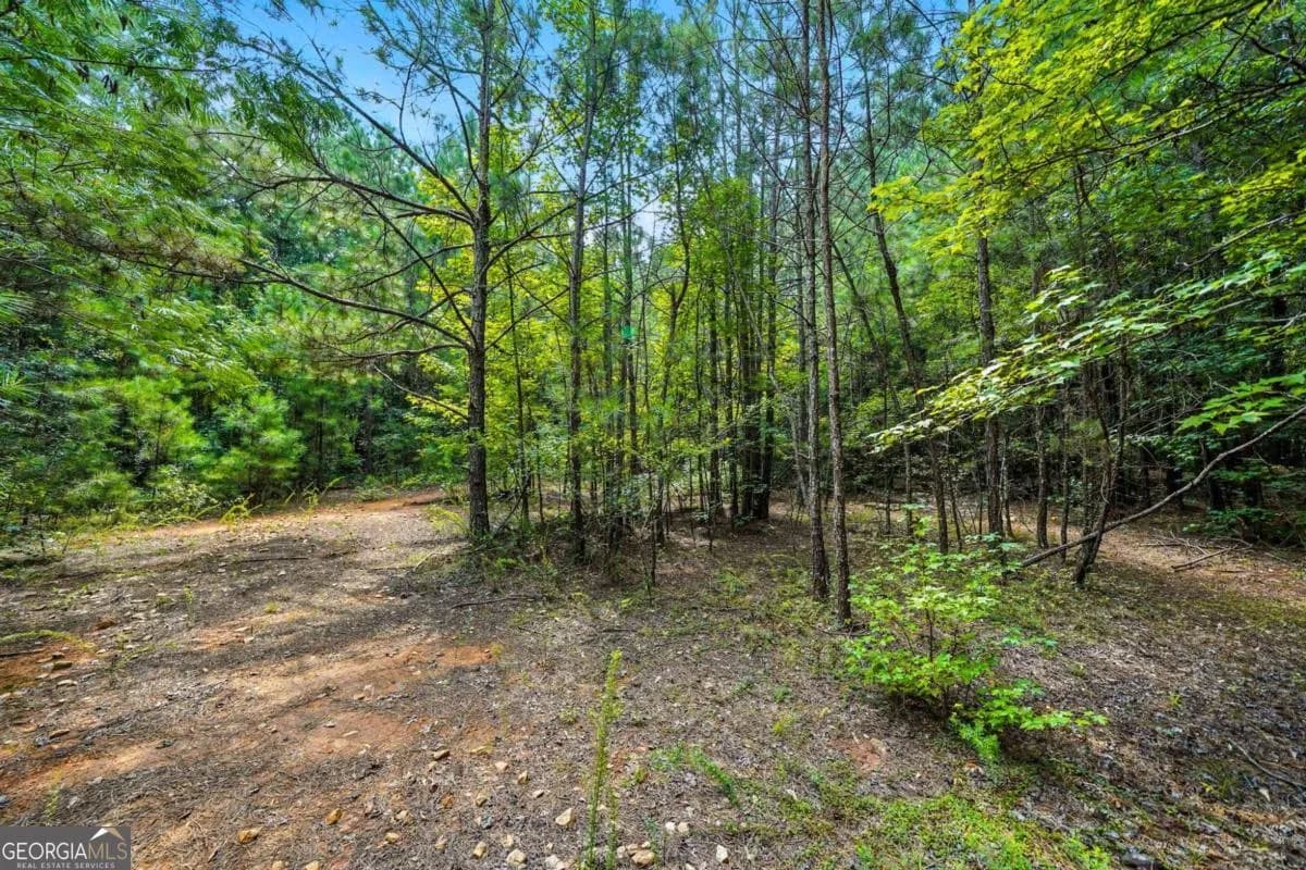 0 Sleepy Hollow Dr — photo 2 of 11