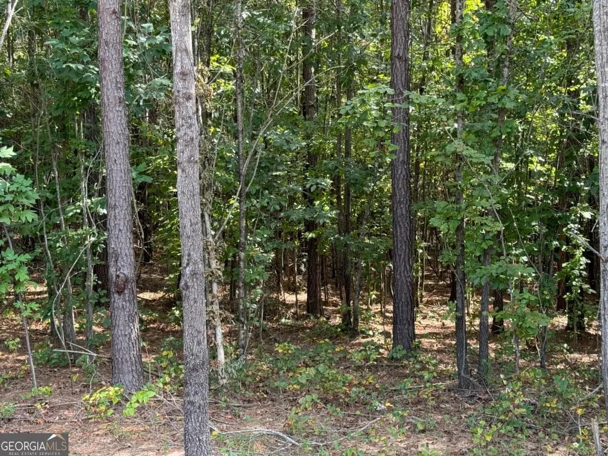 #3 Lone Bear Path Path — photo 2 of 3