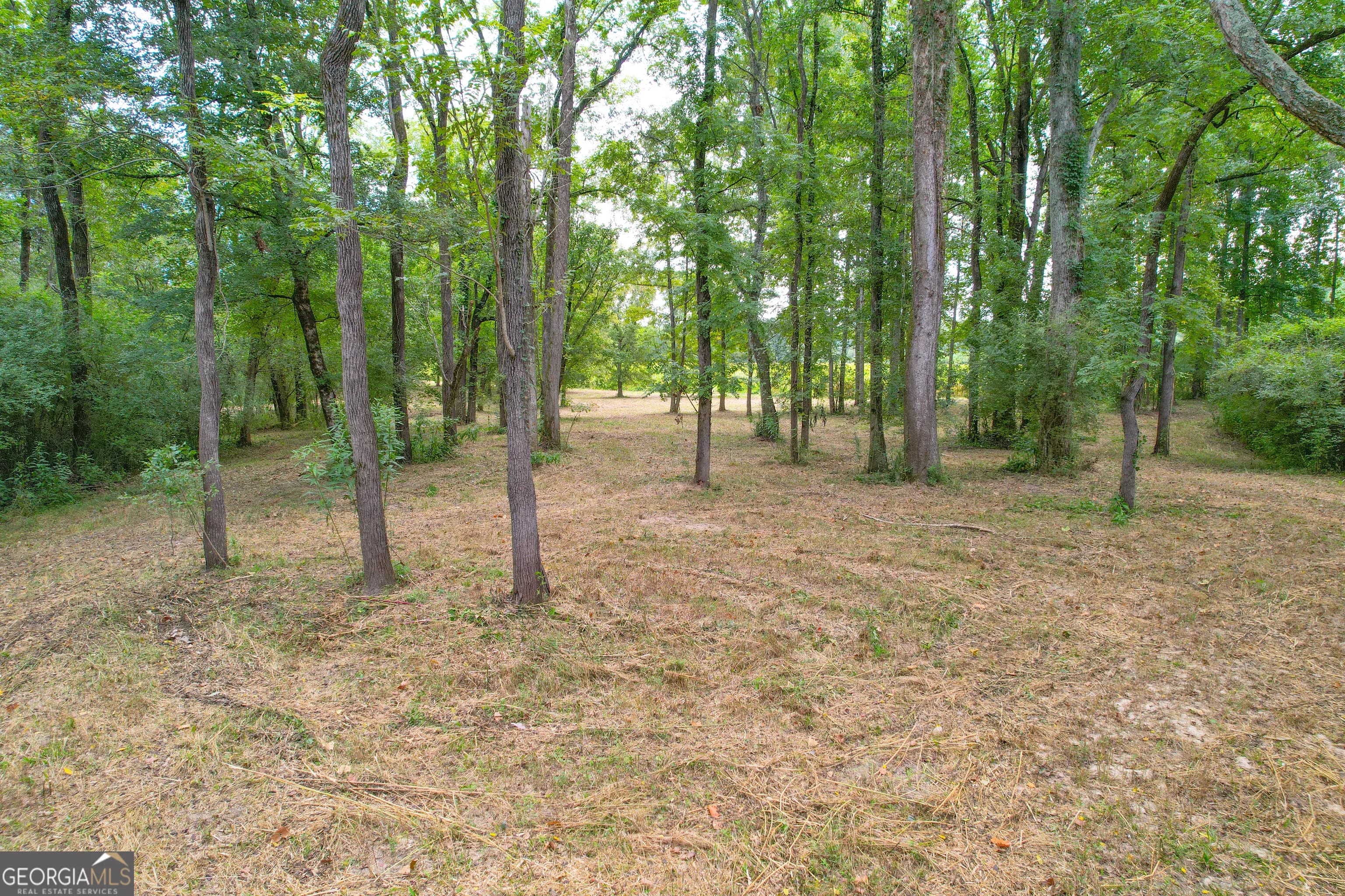 50 +/- Acres Off Ga Hwy 78 — photo 26 of 30