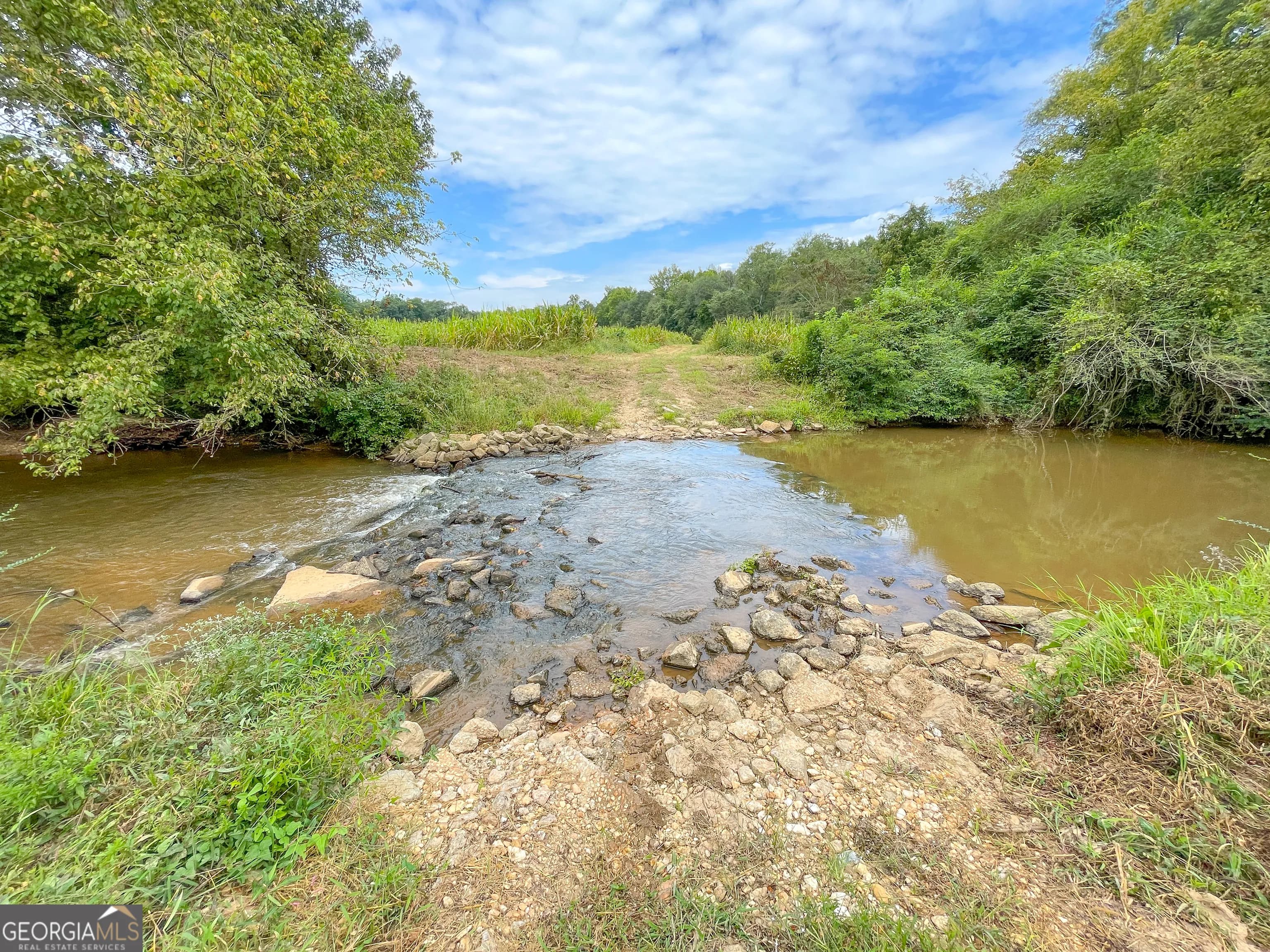 50 +/- Acres Off Ga Hwy 78 — photo 10 of 30
