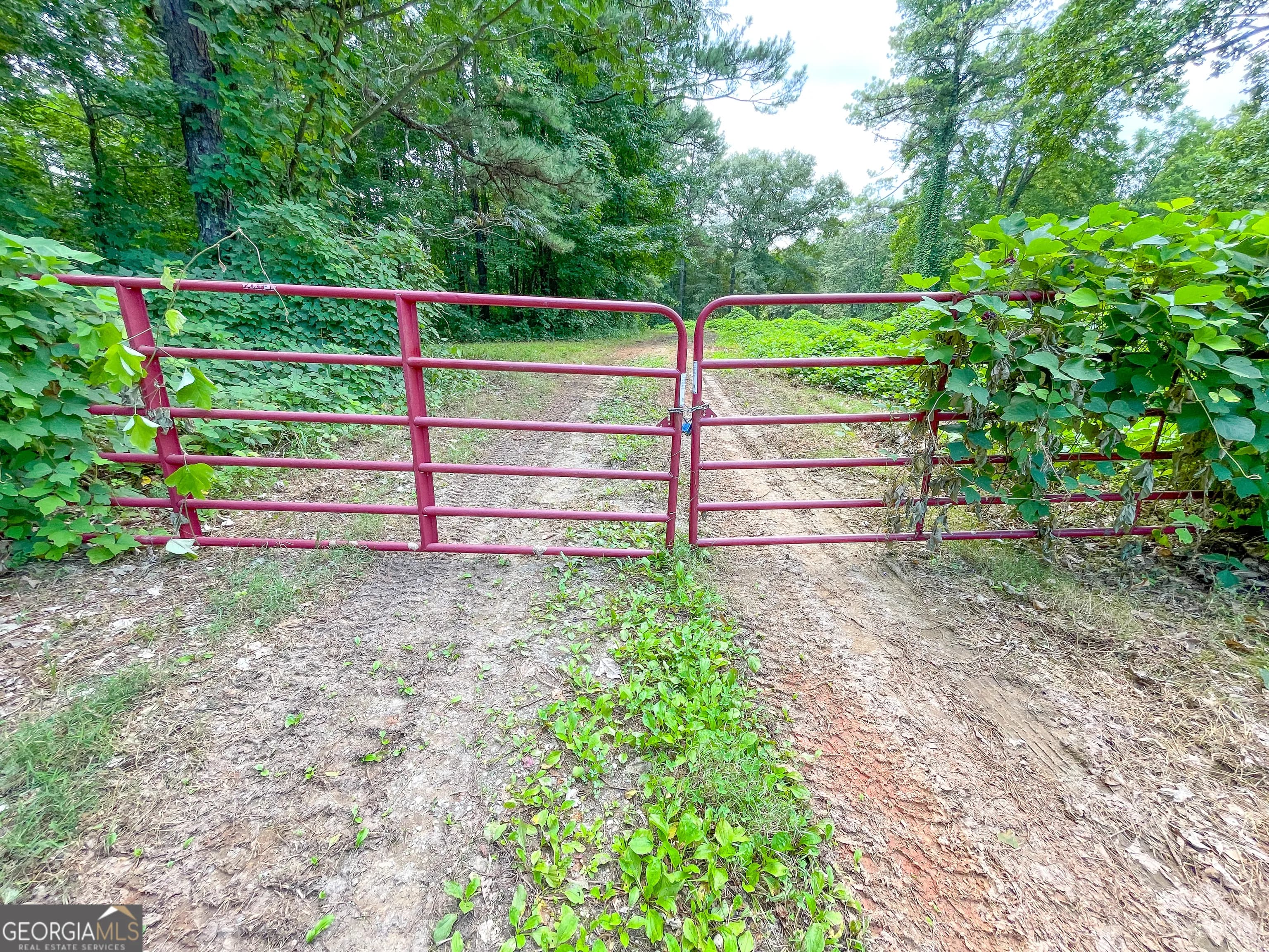 50 +/- Acres Off Ga Hwy 78 — photo 4 of 30
