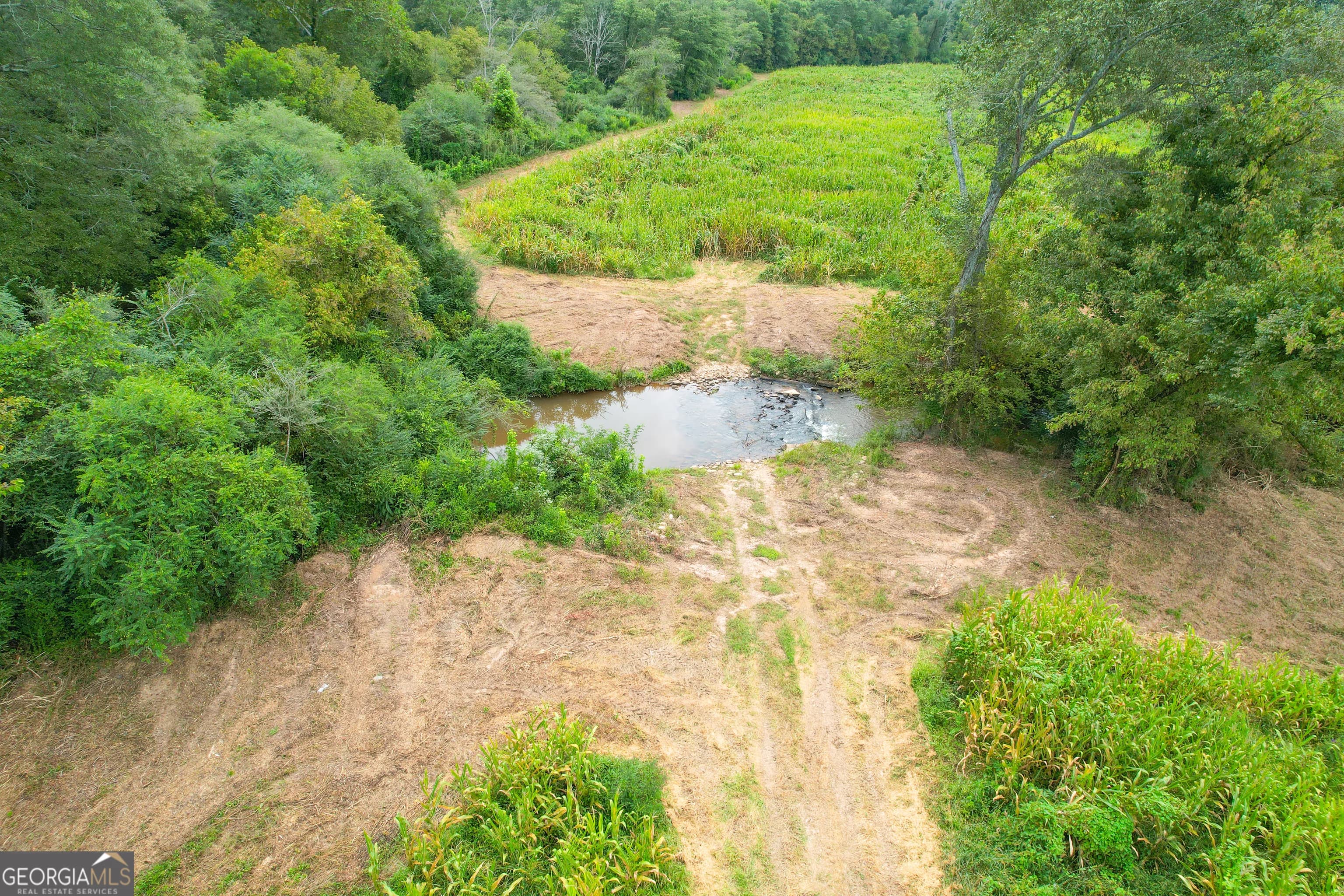 50 +/- Acres Off Ga Hwy 78 — photo 9 of 30