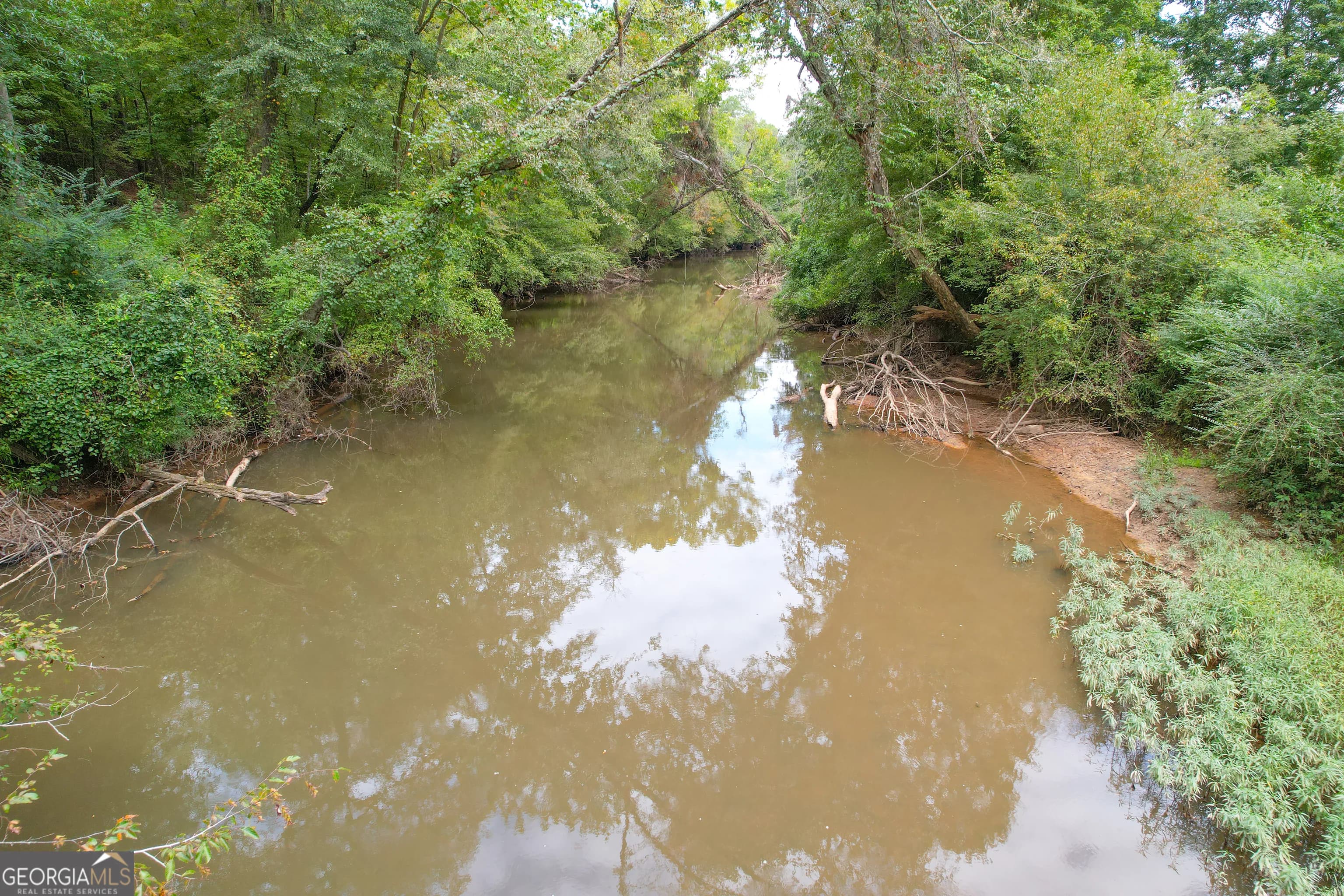 50 +/- Acres Off Ga Hwy 78 — photo 19 of 30