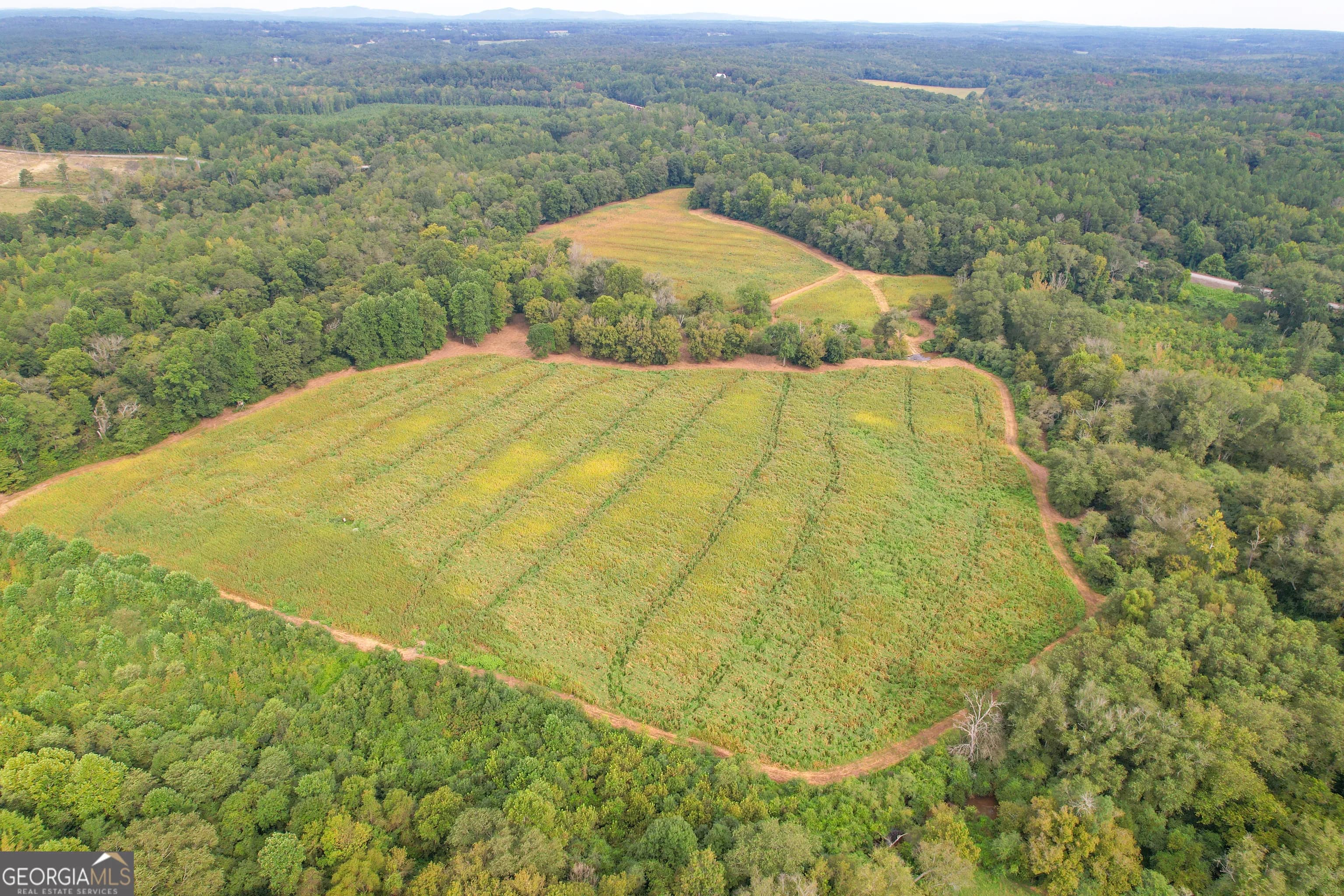 50 +/- Acres Off Ga Hwy 78 — photo 24 of 30