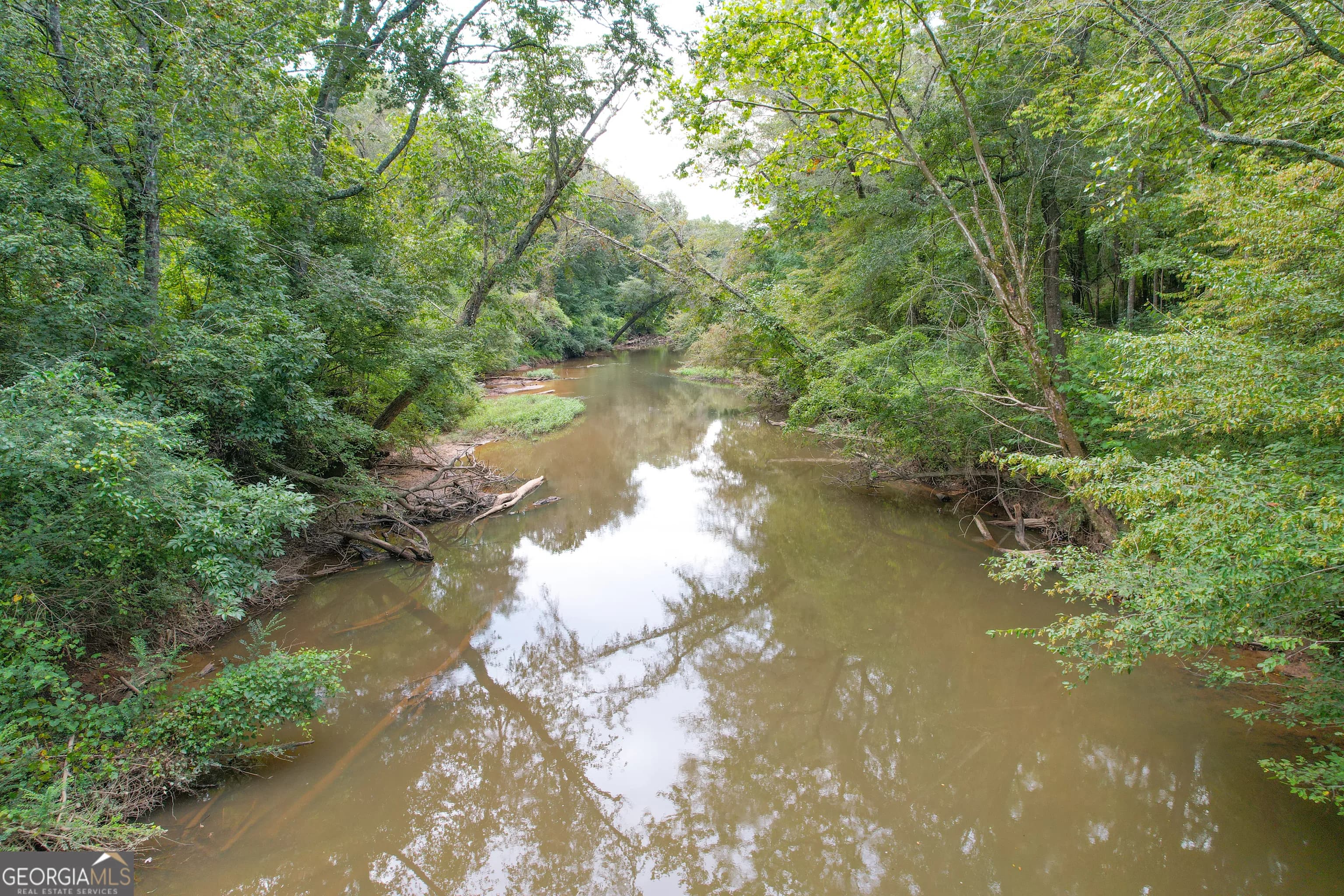 50 +/- Acres Off Ga Hwy 78 — photo 13 of 30