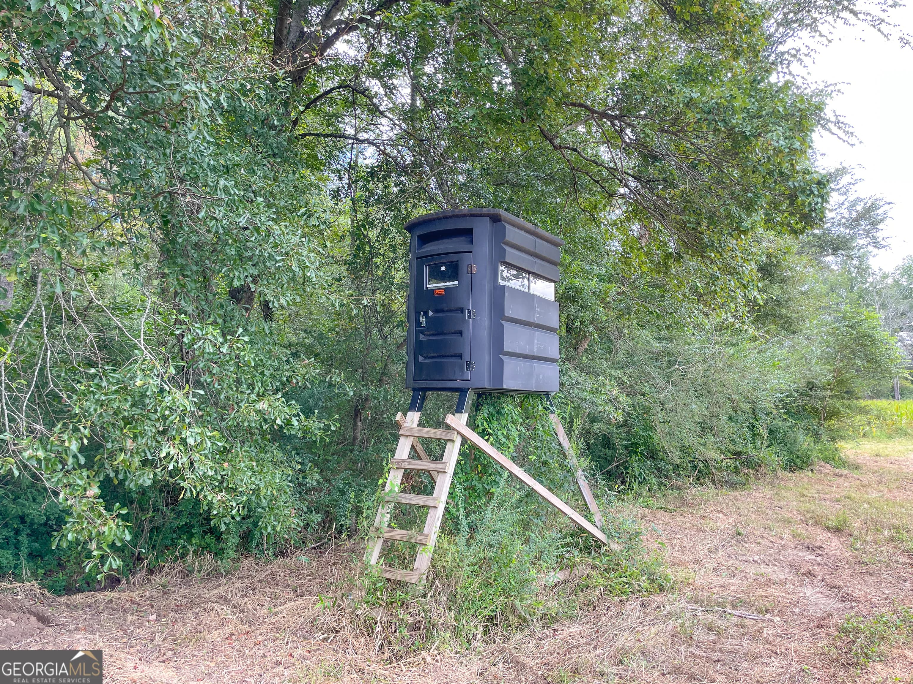 50 +/- Acres Off Ga Hwy 78 — photo 6 of 30