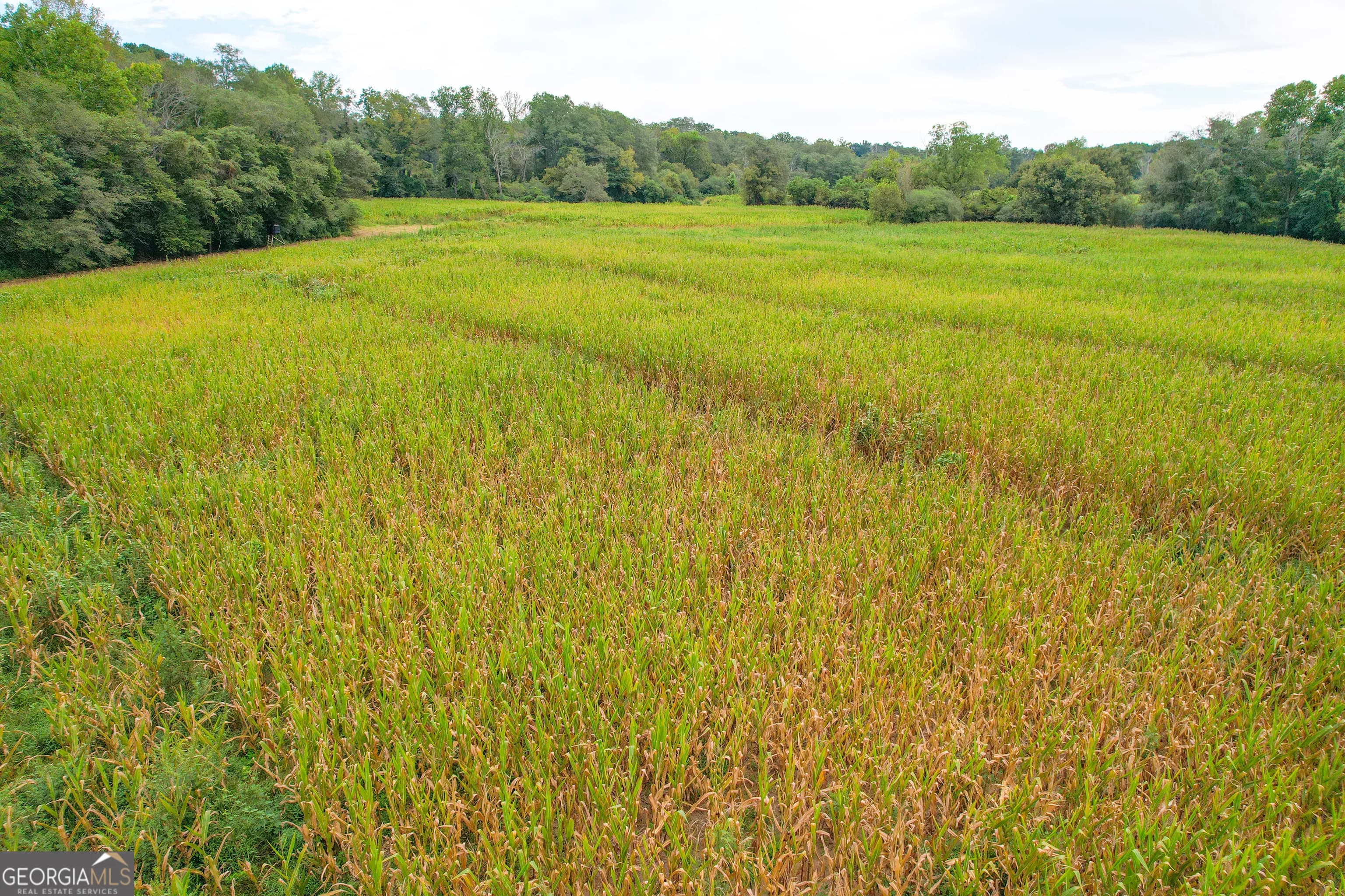 50 +/- Acres Off Ga Hwy 78 — photo 16 of 30