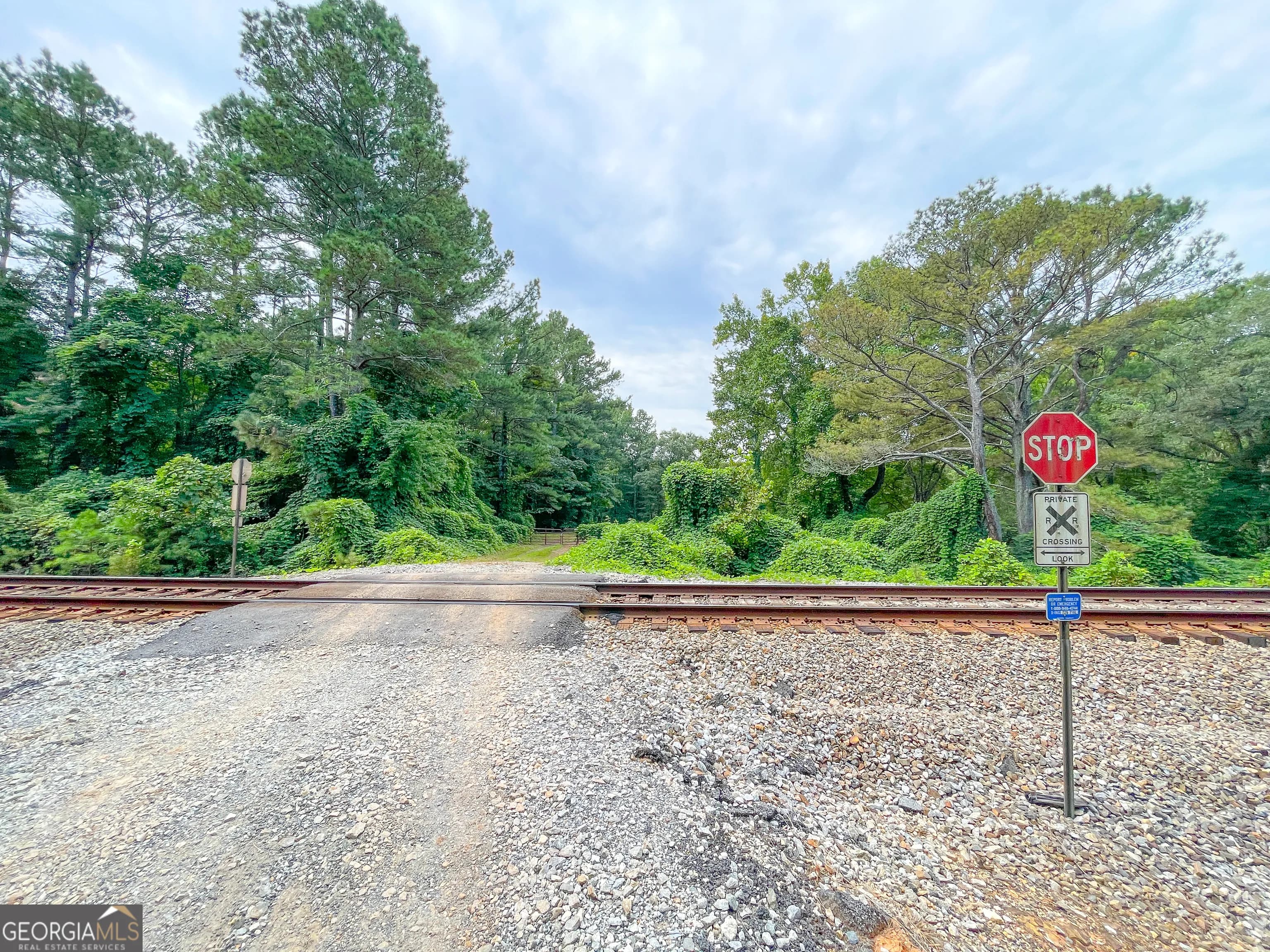 50 +/- Acres Off Ga Hwy 78 — photo 3 of 30