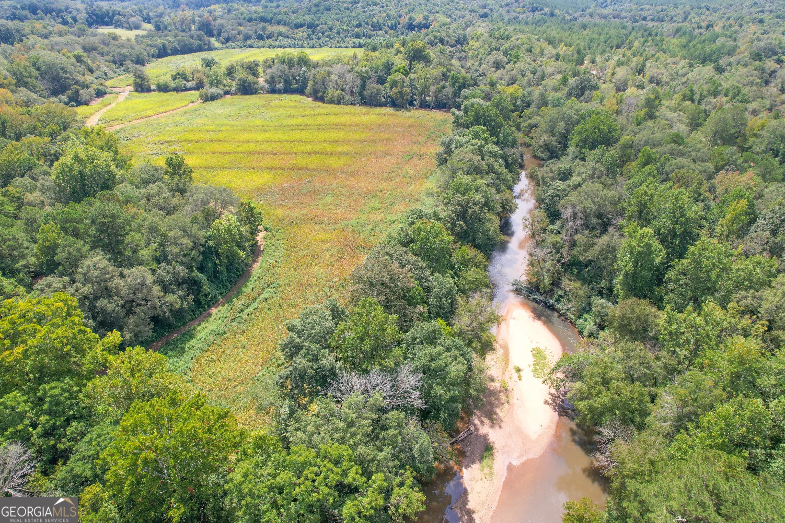 50 +/- Acres Off Ga Hwy 78 — photo 27 of 30
