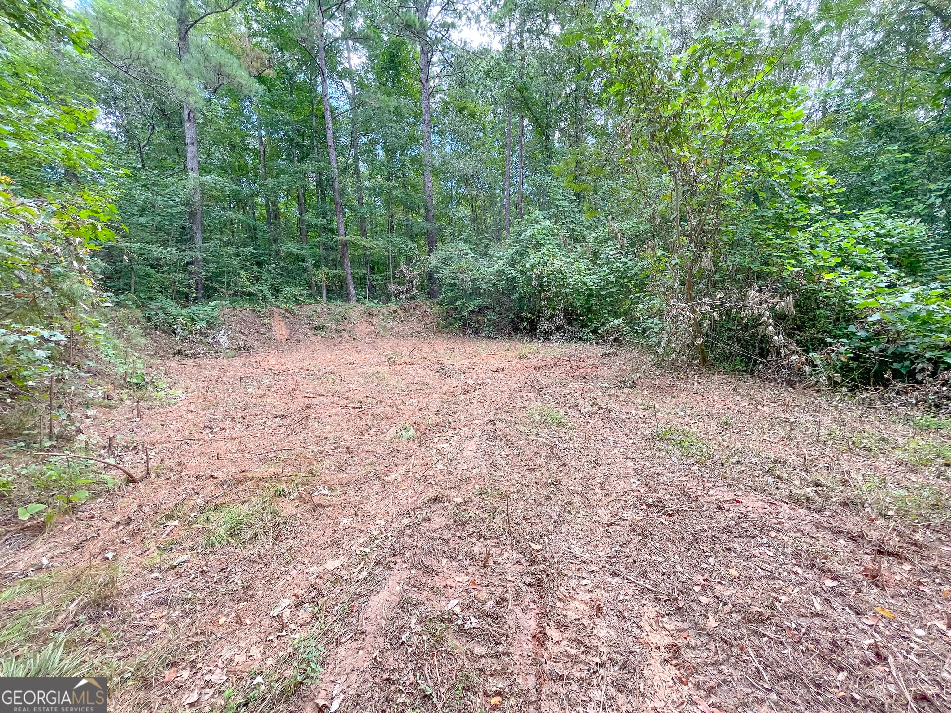 50 +/- Acres Off Ga Hwy 78 — photo 20 of 30