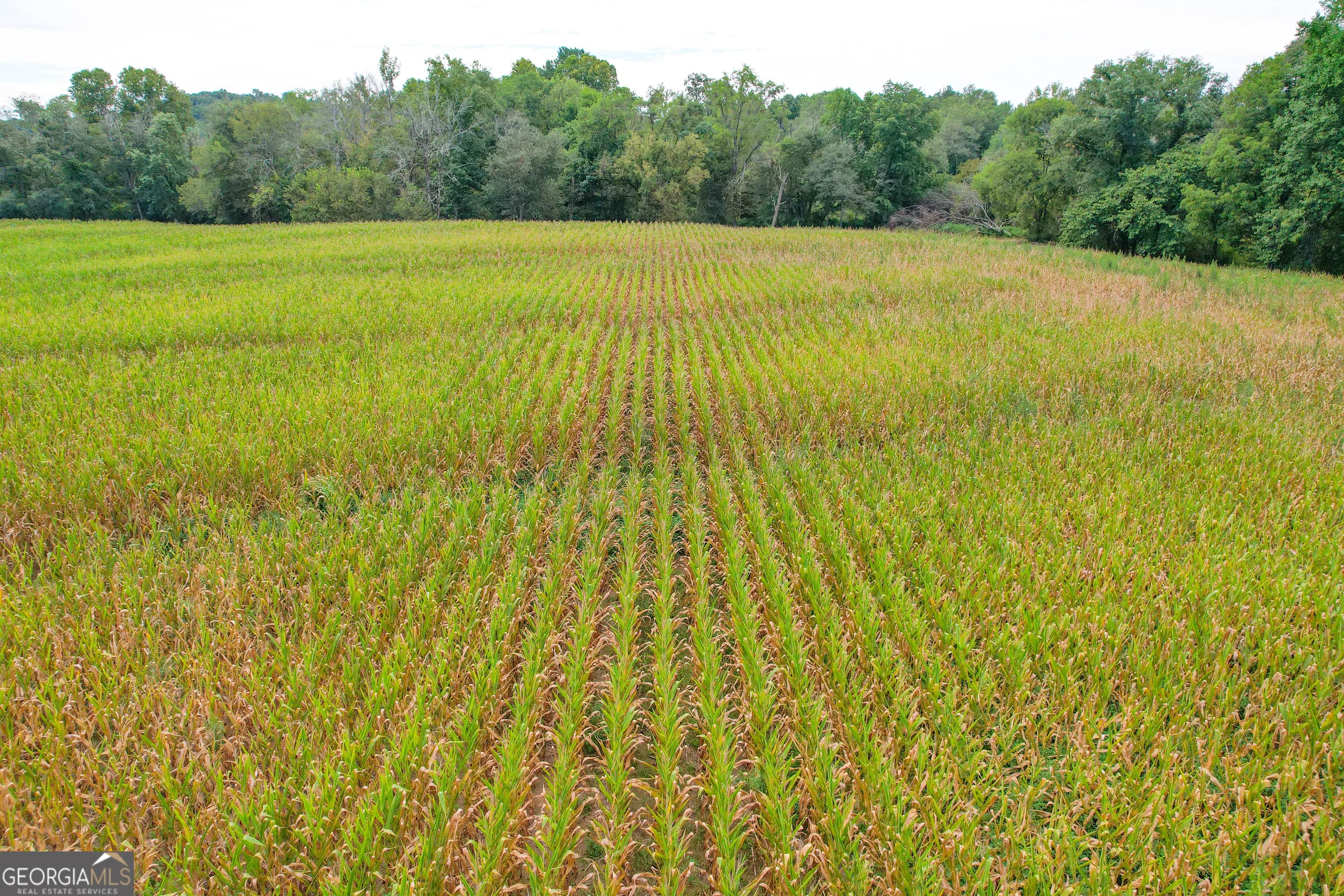 50 +/- Acres Off Ga Hwy 78 — photo 28 of 30