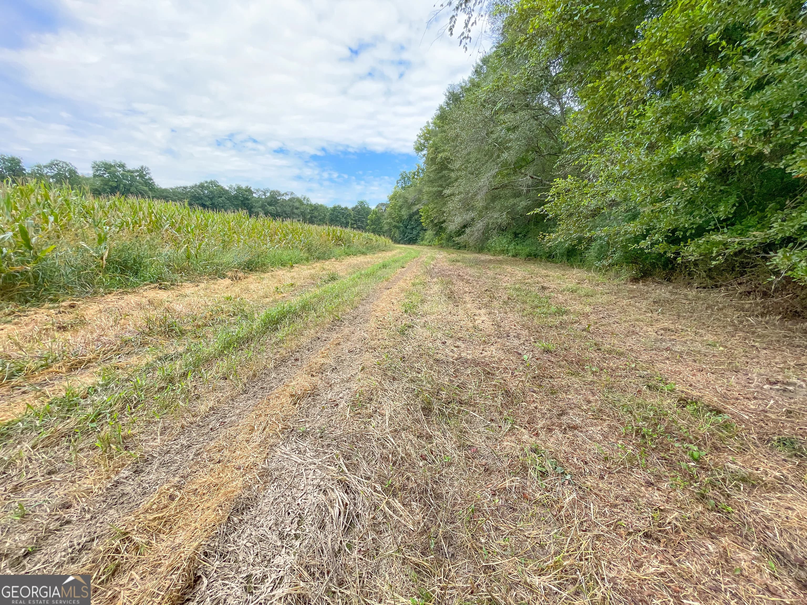 50 +/- Acres Off Ga Hwy 78 — photo 7 of 30
