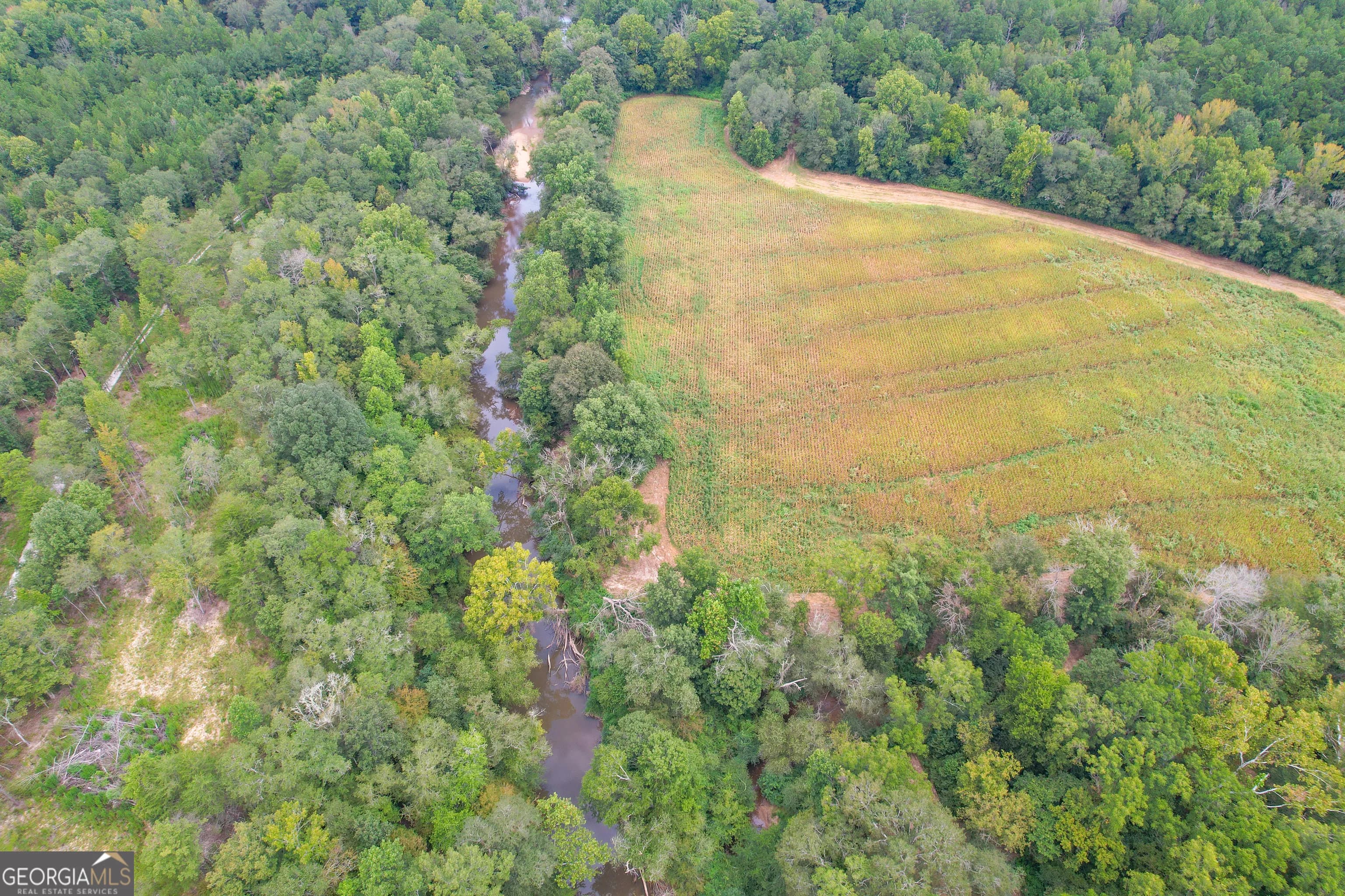 50 +/- Acres Off Ga Hwy 78 — photo 18 of 30