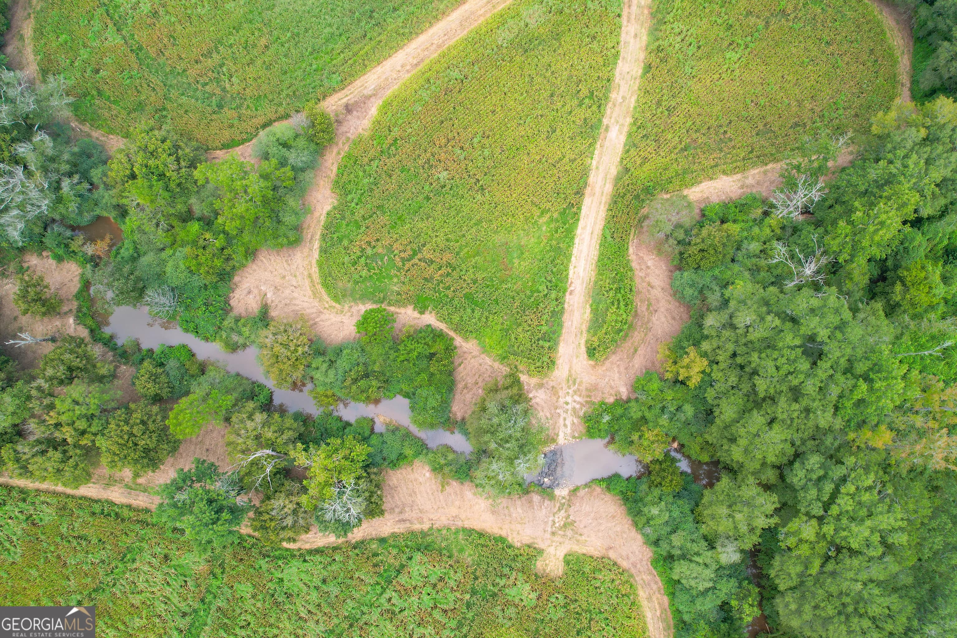 50 +/- Acres Off Ga Hwy 78 — photo 8 of 30