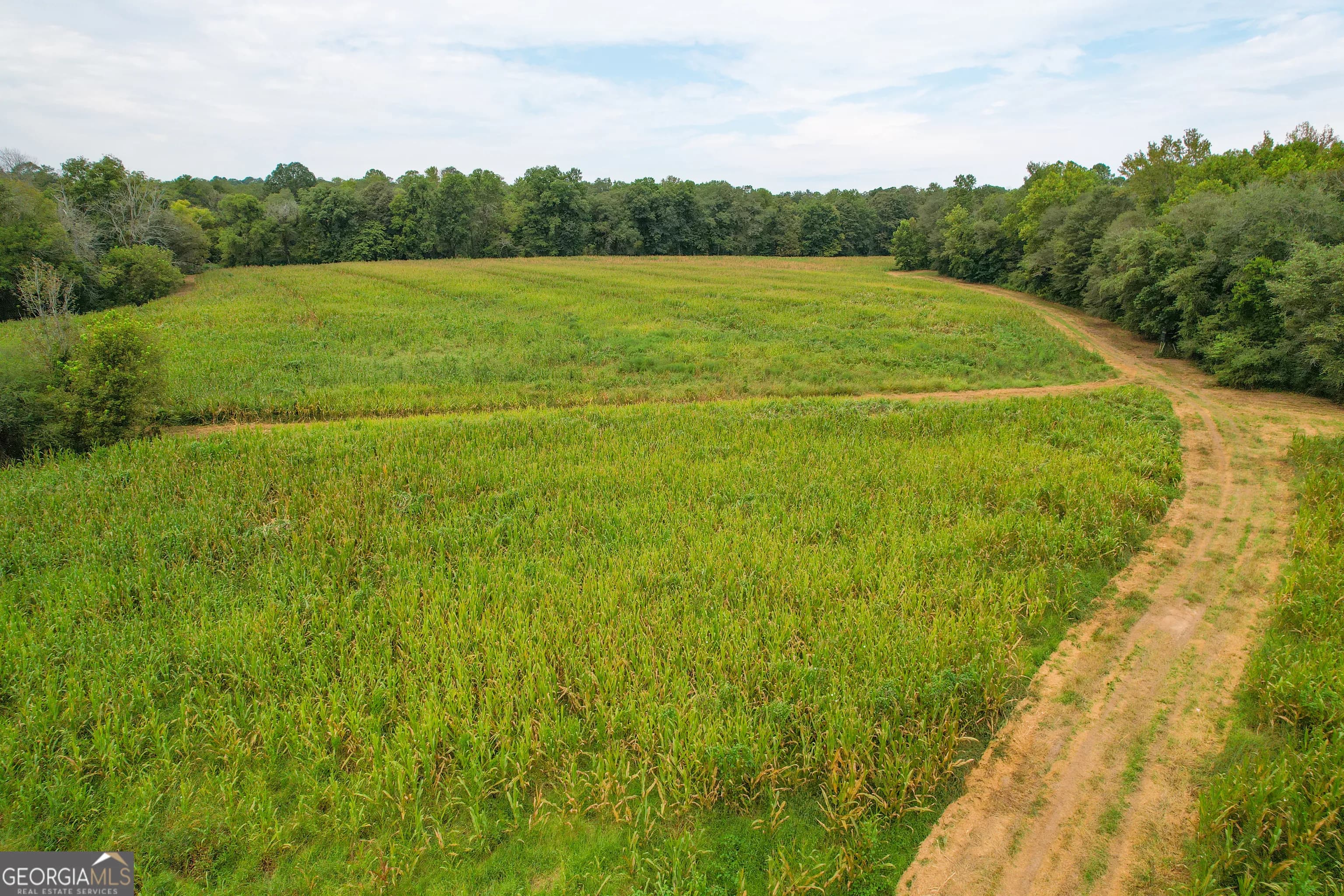 50 +/- Acres Off Ga Hwy 78 — photo 30 of 30