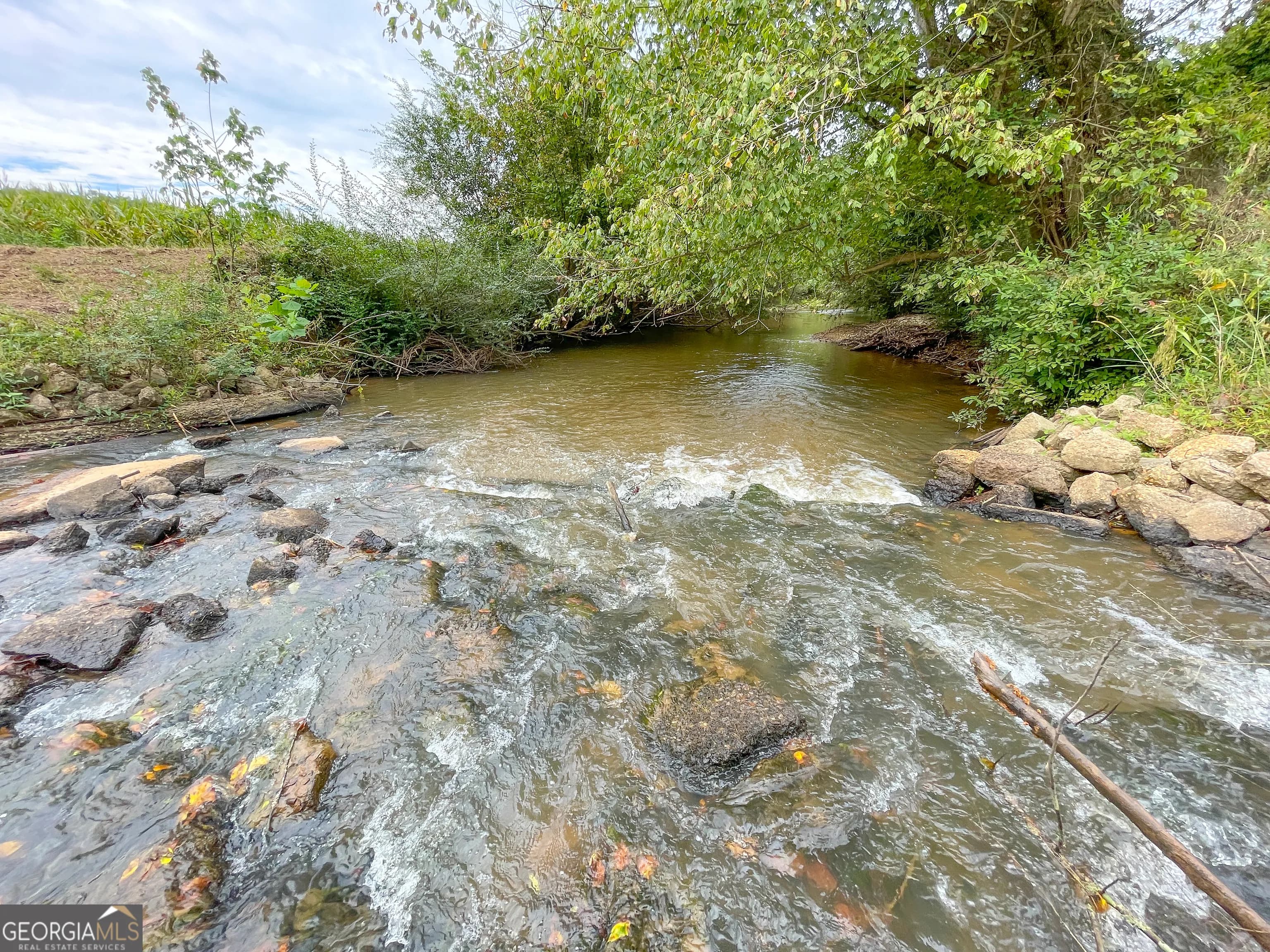 50 +/- Acres Off Ga Hwy 78 — photo 11 of 30