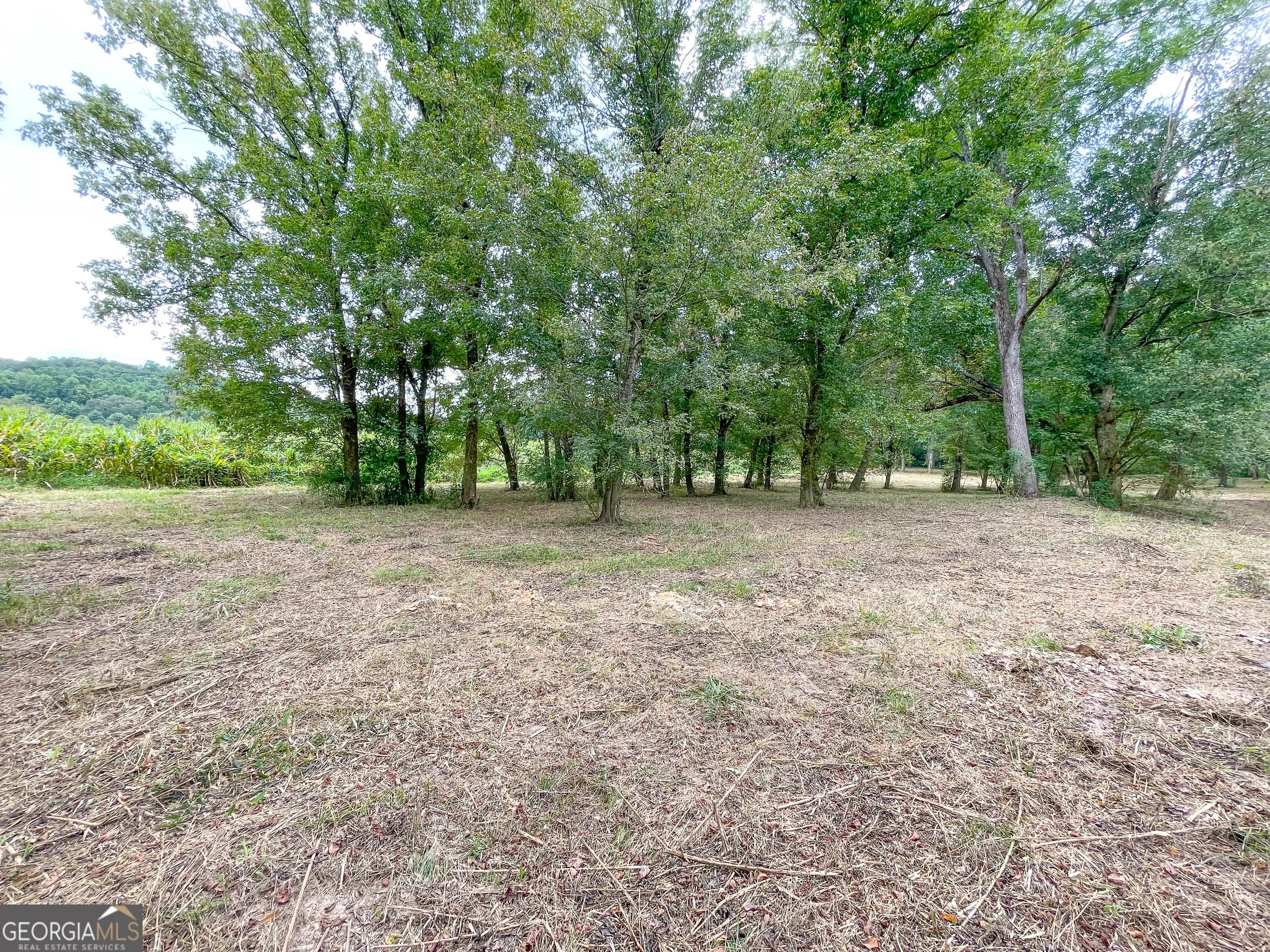 50 +/- Acres Off Ga Hwy 78 — photo 12 of 30