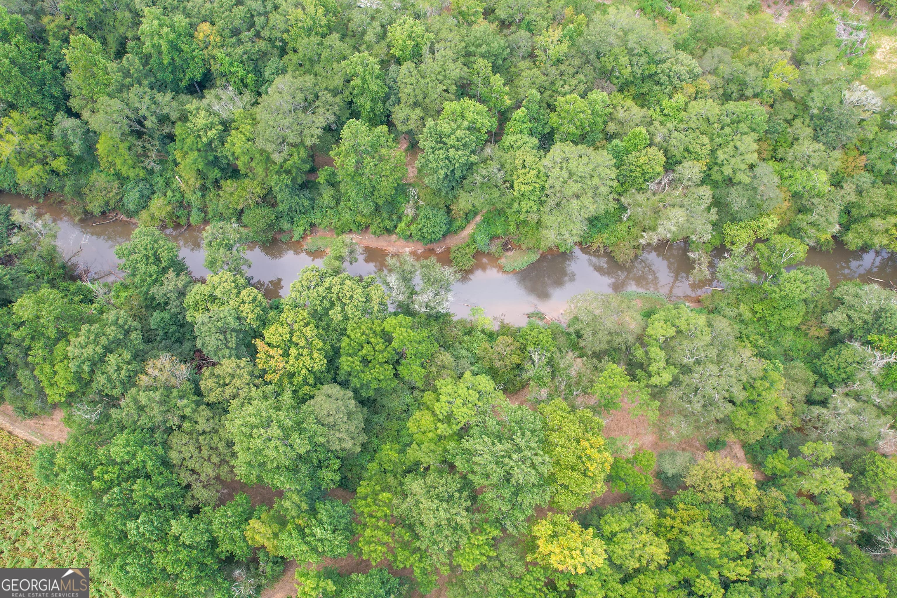 50 +/- Acres Off Ga Hwy 78 — photo 17 of 30