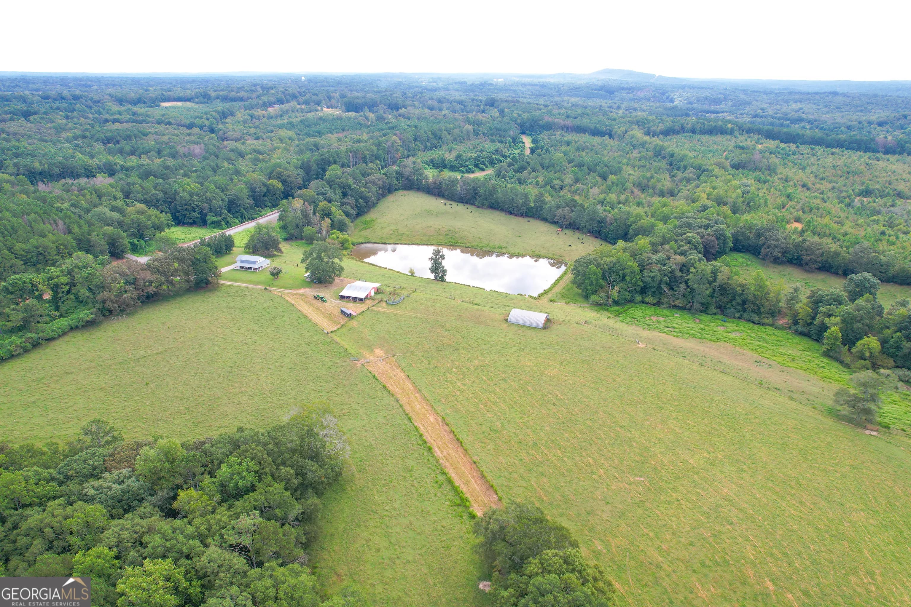 60 +/- Acres At 295 J Davis Rd — photo 28 of 36