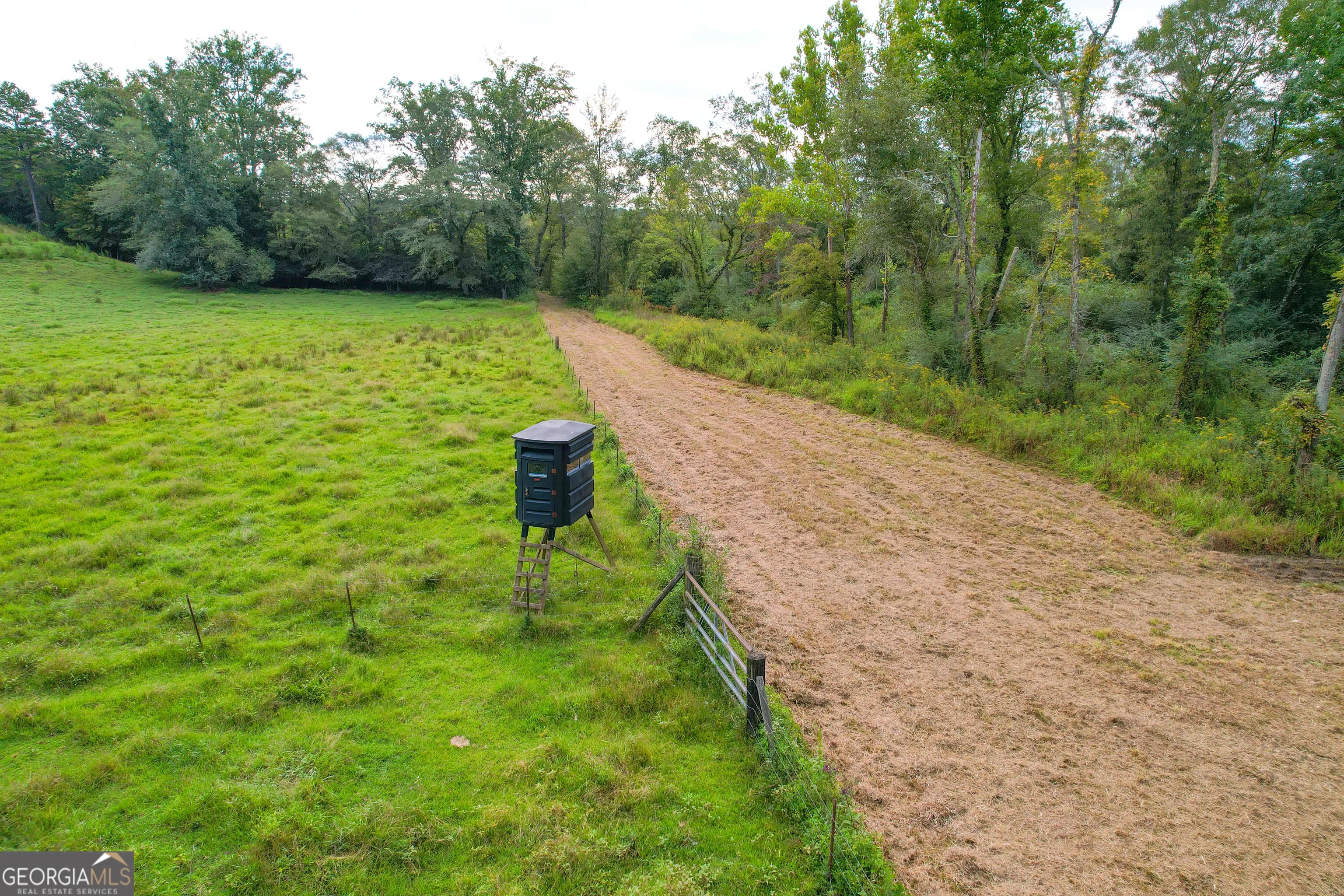 60 +/- Acres At 295 J Davis Rd — photo 33 of 36
