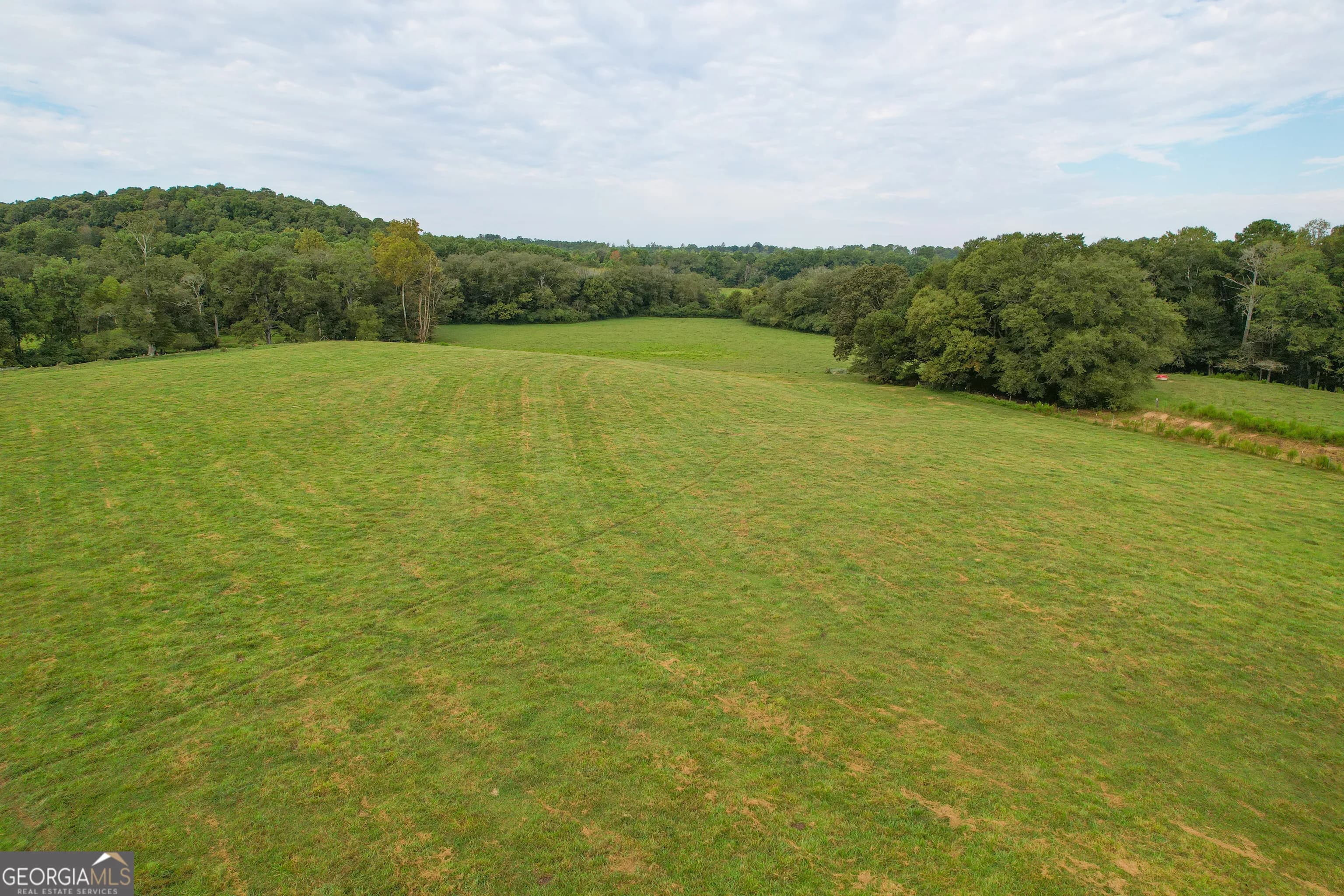 60 +/- Acres At 295 J Davis Rd — photo 32 of 36