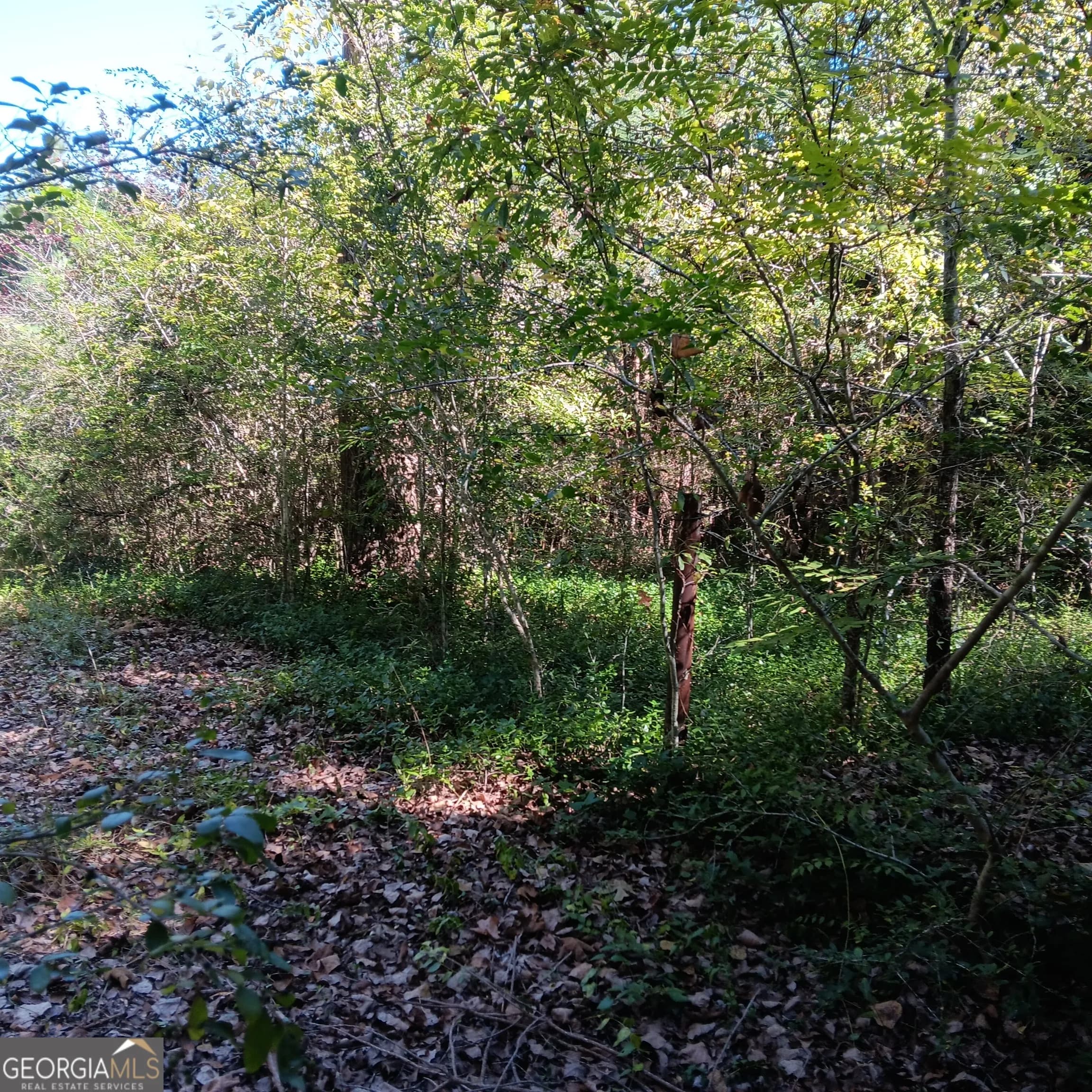 4377 Rock Mills Rd — photo 23 of 27