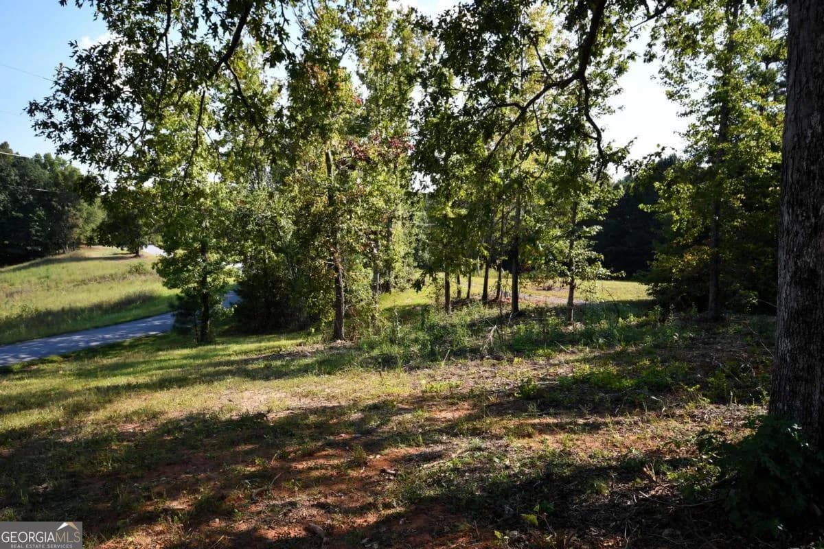 428 Snote Jones Rd — photo 11 of 23