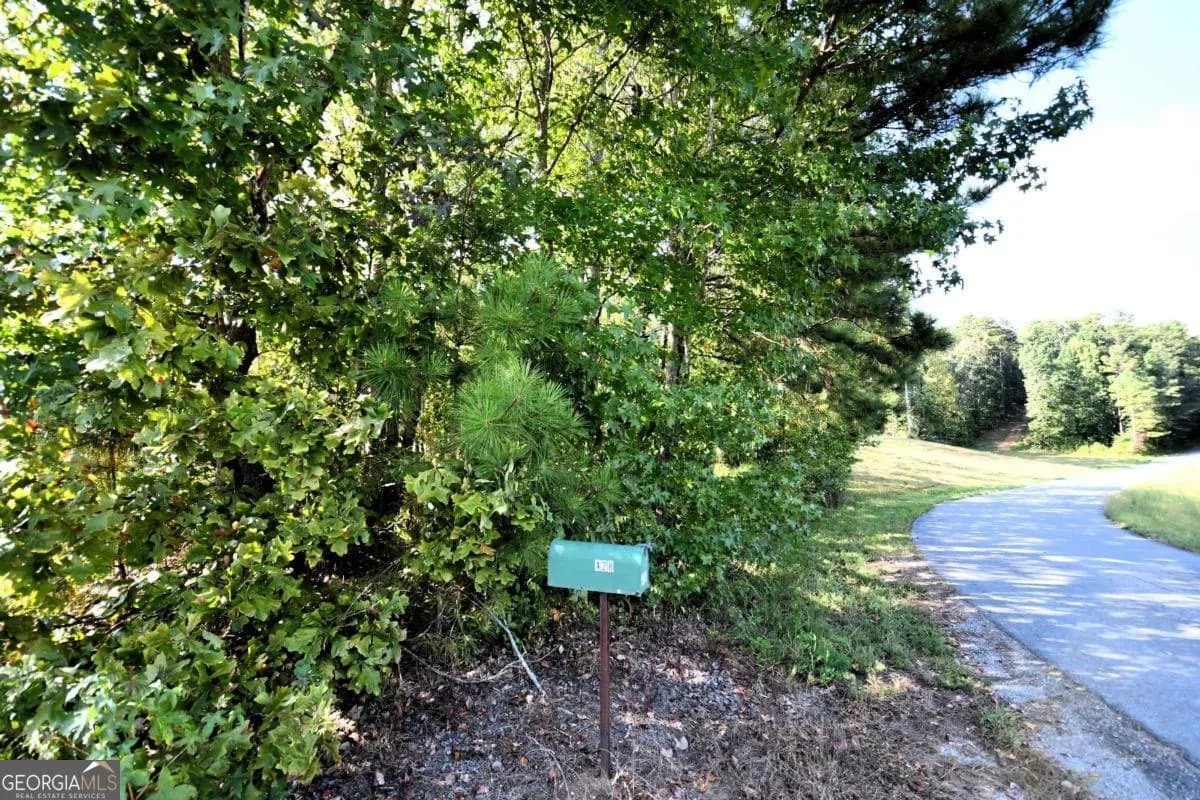 428 Snote Jones Rd — photo 9 of 23