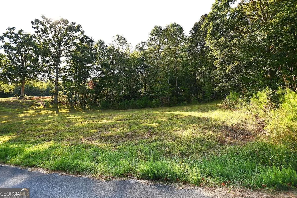 428 Snote Jones Rd — photo 10 of 23