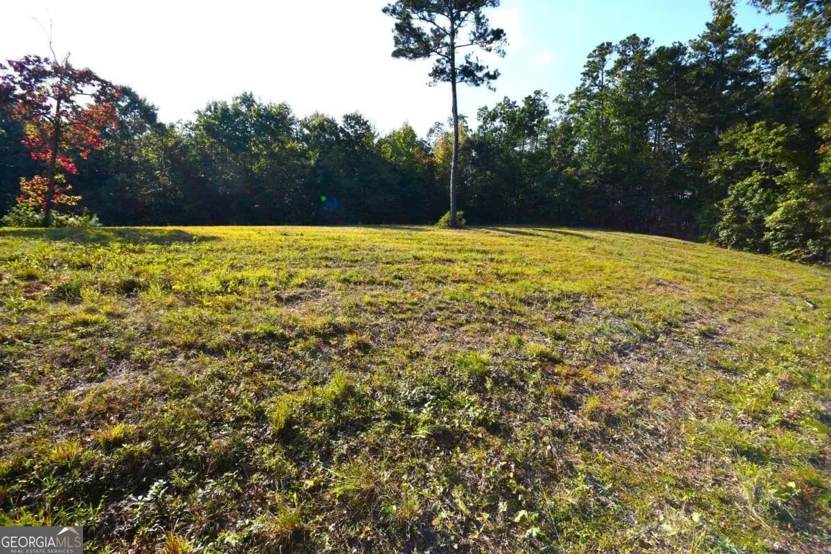428 Snote Jones Rd — photo 3 of 23