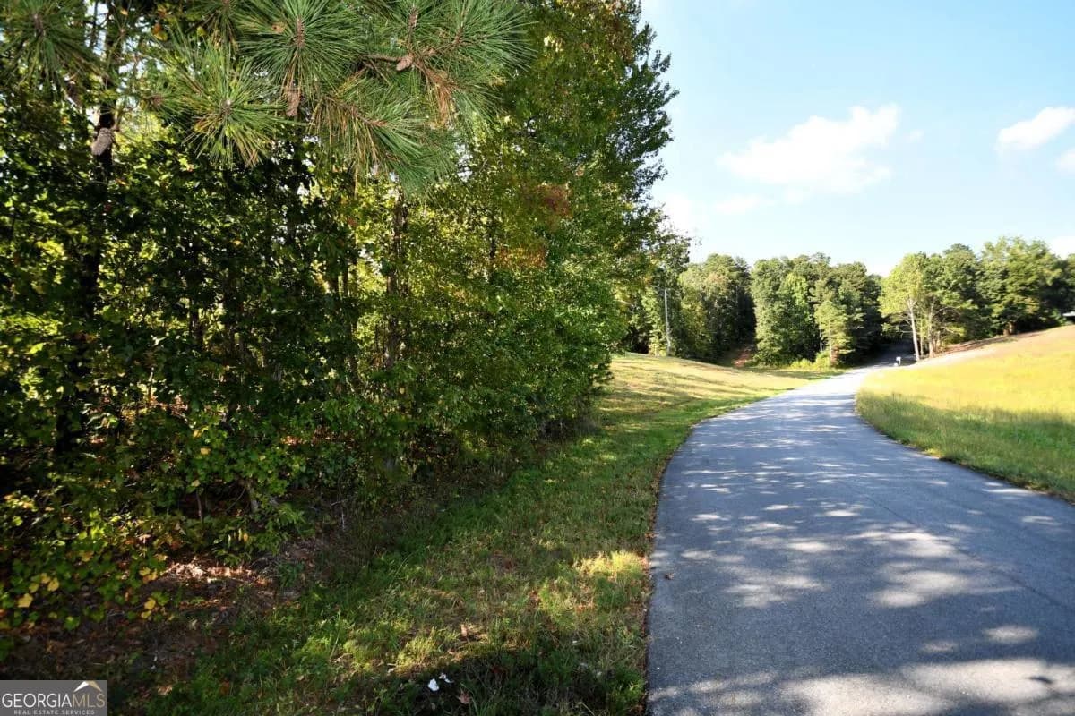 428 Snote Jones Rd — photo 12 of 23