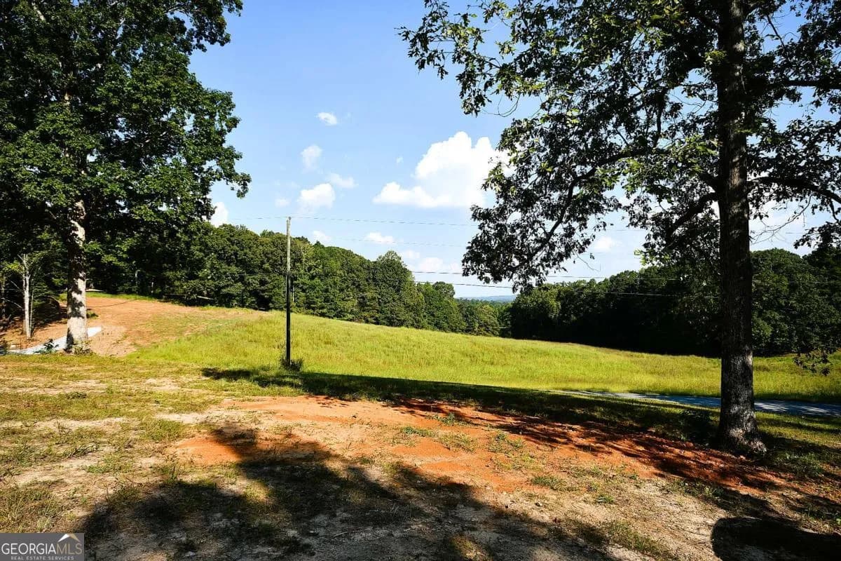 428 Snote Jones Rd — photo 4 of 23