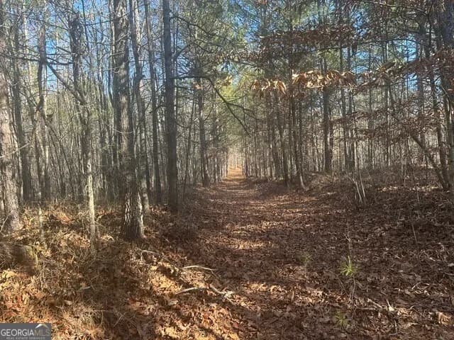 0 George Green Rd — photo 4 of 16