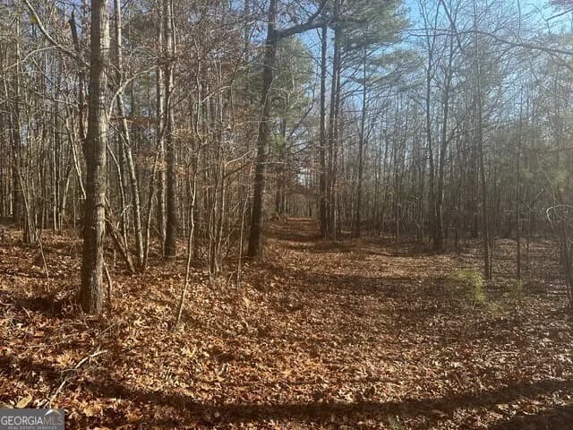 0 George Green Rd — photo 5 of 16