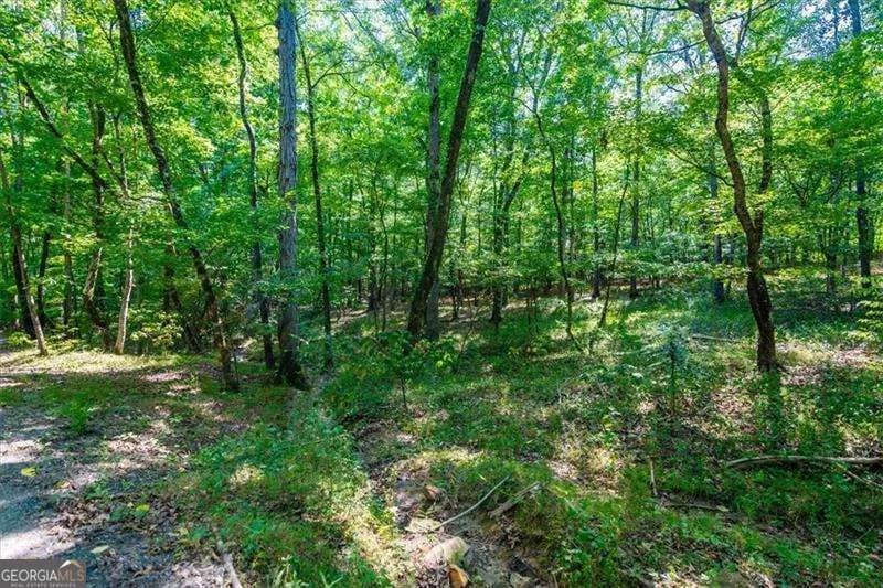 0 Overlook Trl — photo 9 of 15