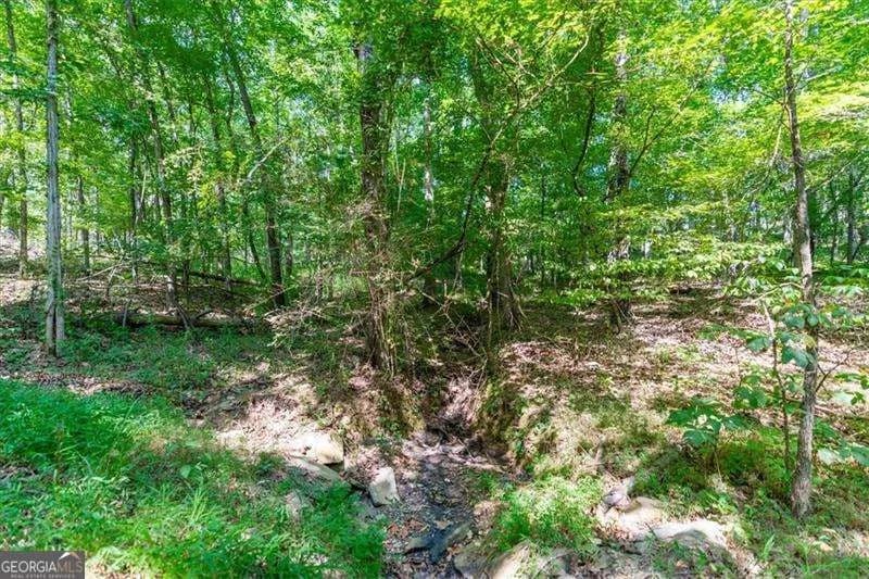 0 Overlook Trl — photo 10 of 15