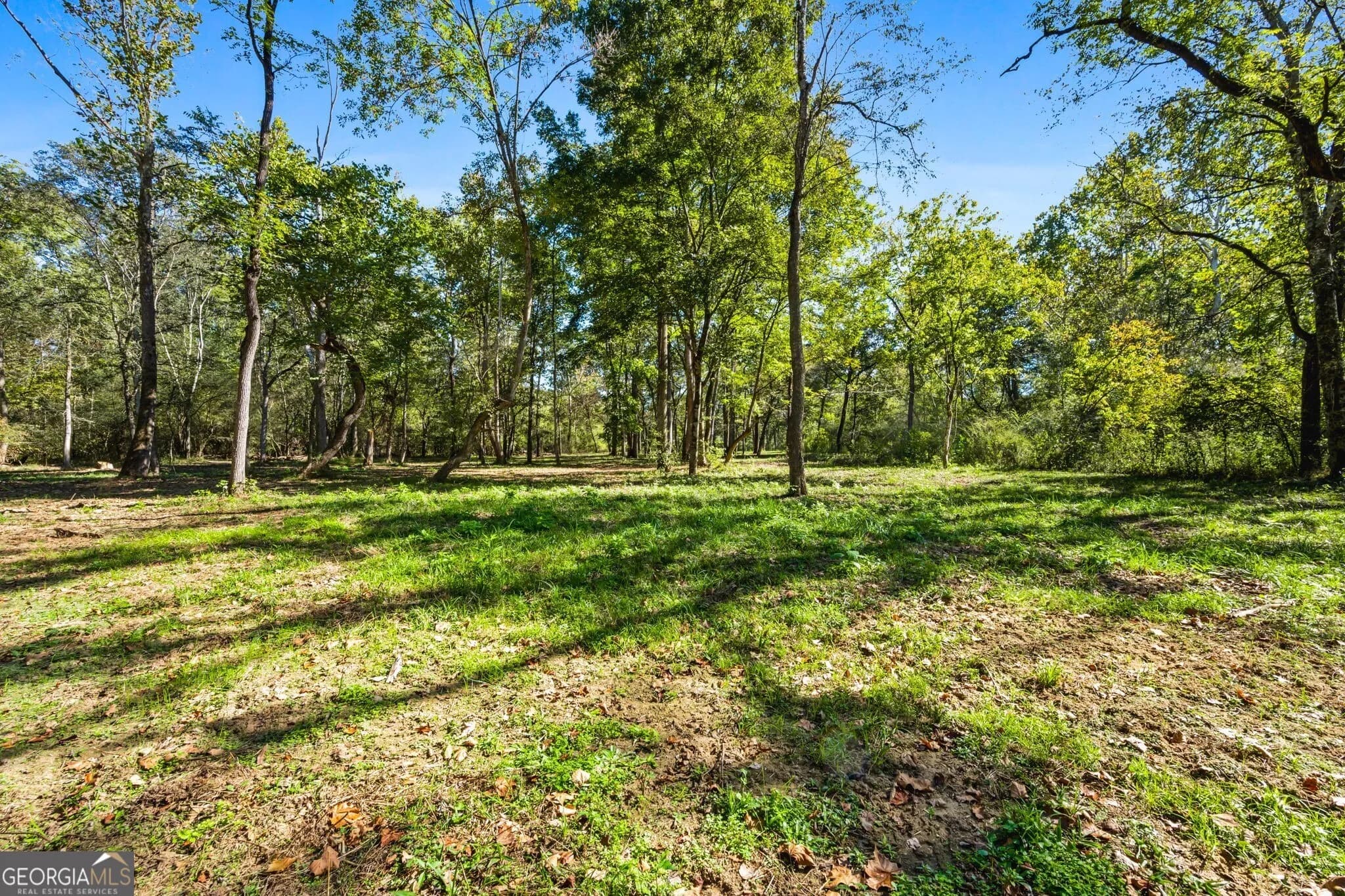 1189 Paul Harris Rd — photo 22 of 44