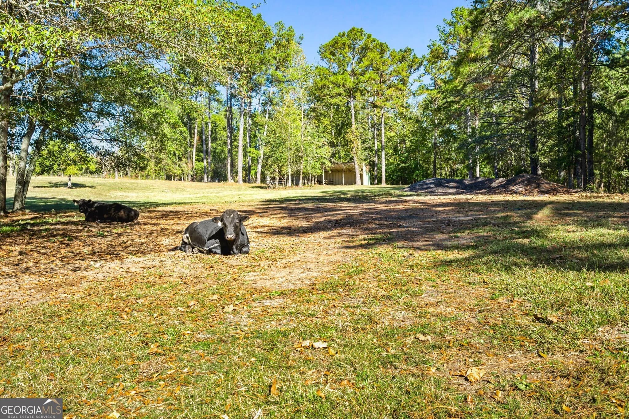 1189 Paul Harris Rd — photo 16 of 44