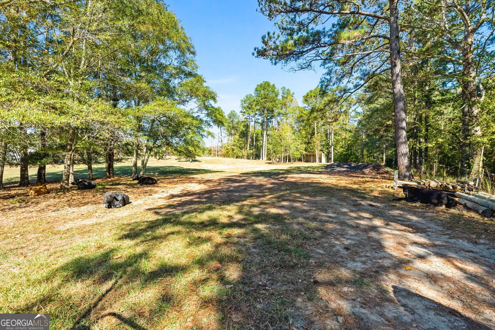1189 Paul Harris Rd — photo 17 of 44