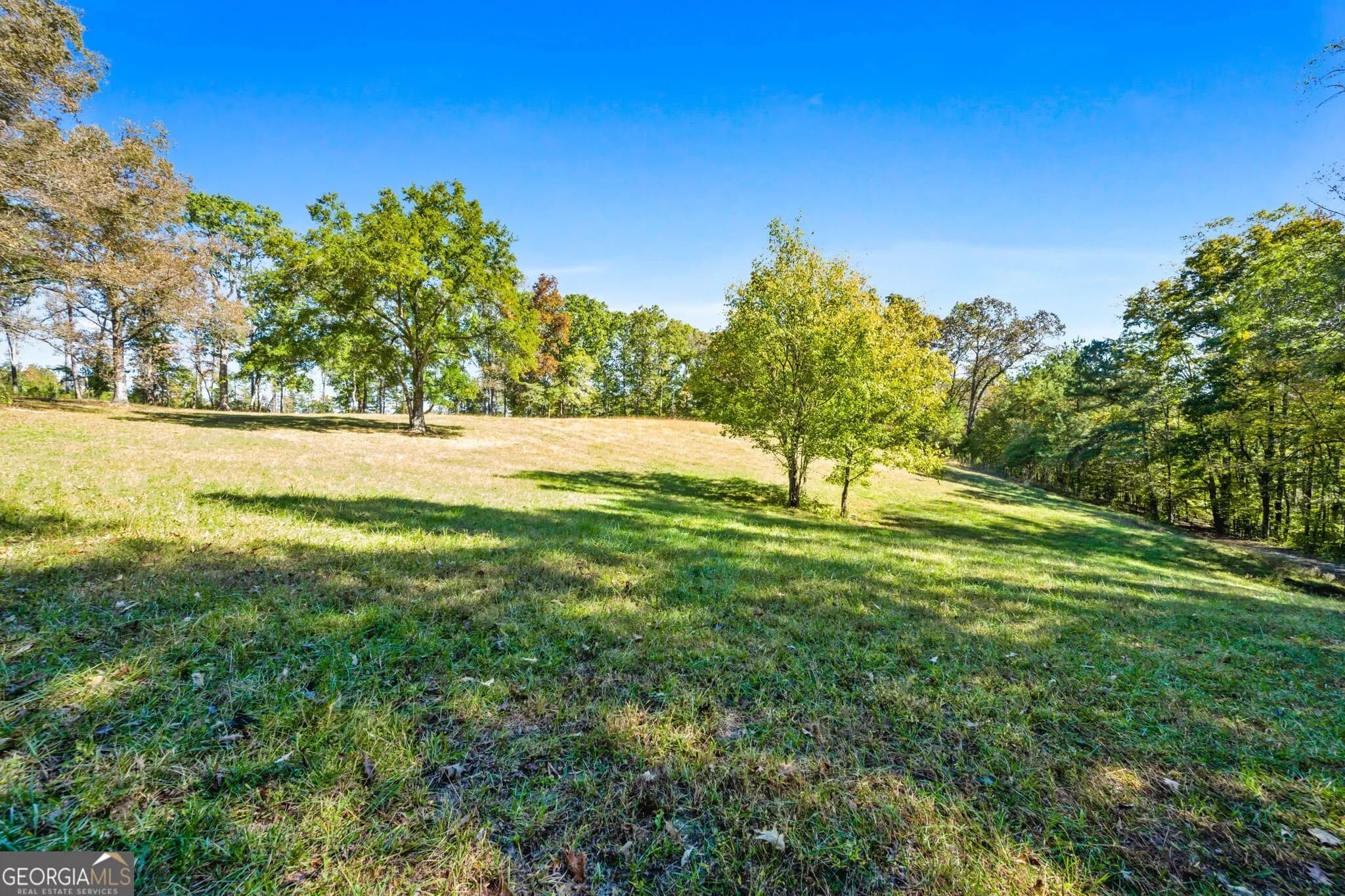 1189 Paul Harris Rd — photo 23 of 44