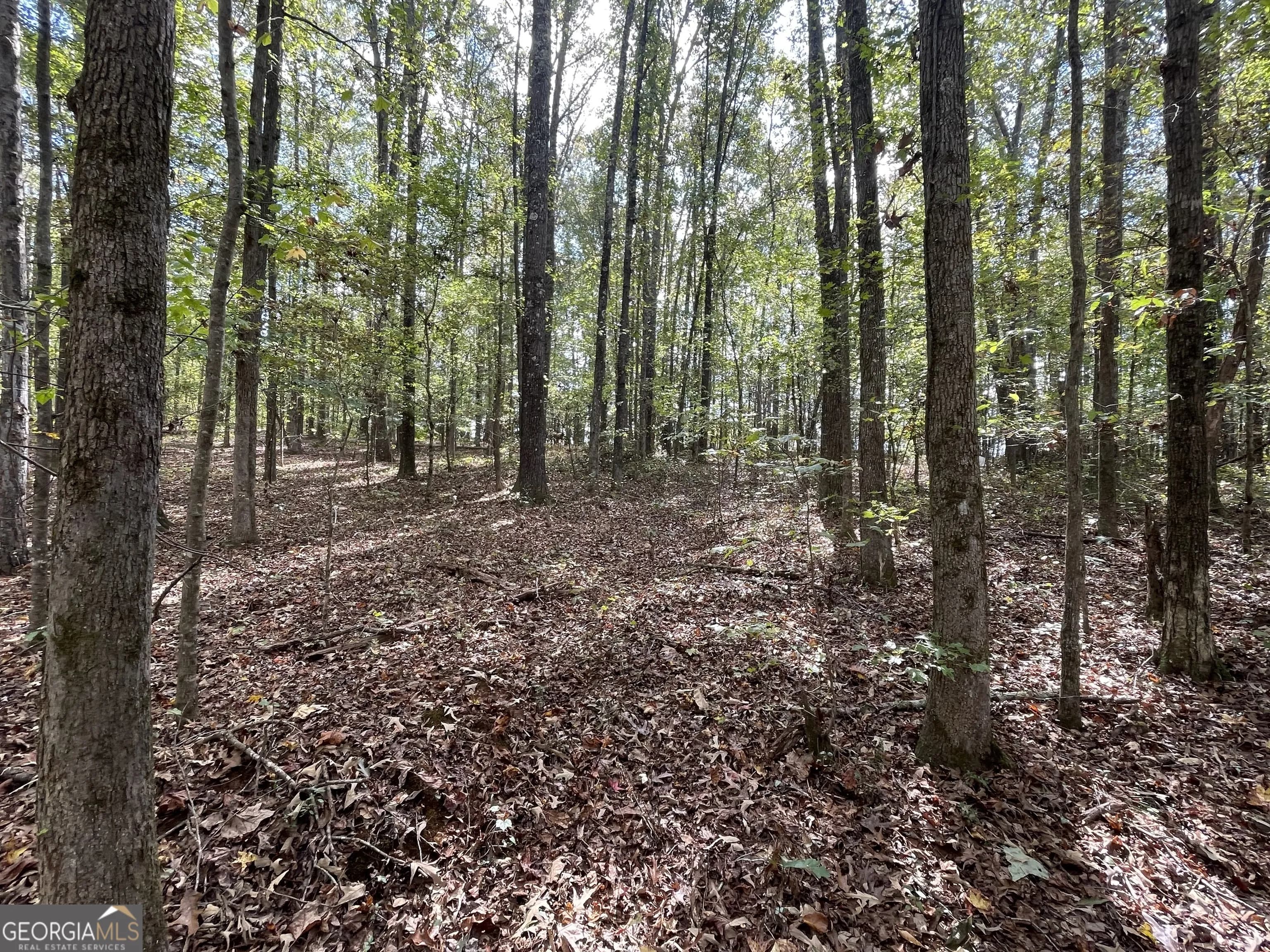 0 Buffalo Creek Rd — photo 11 of 49