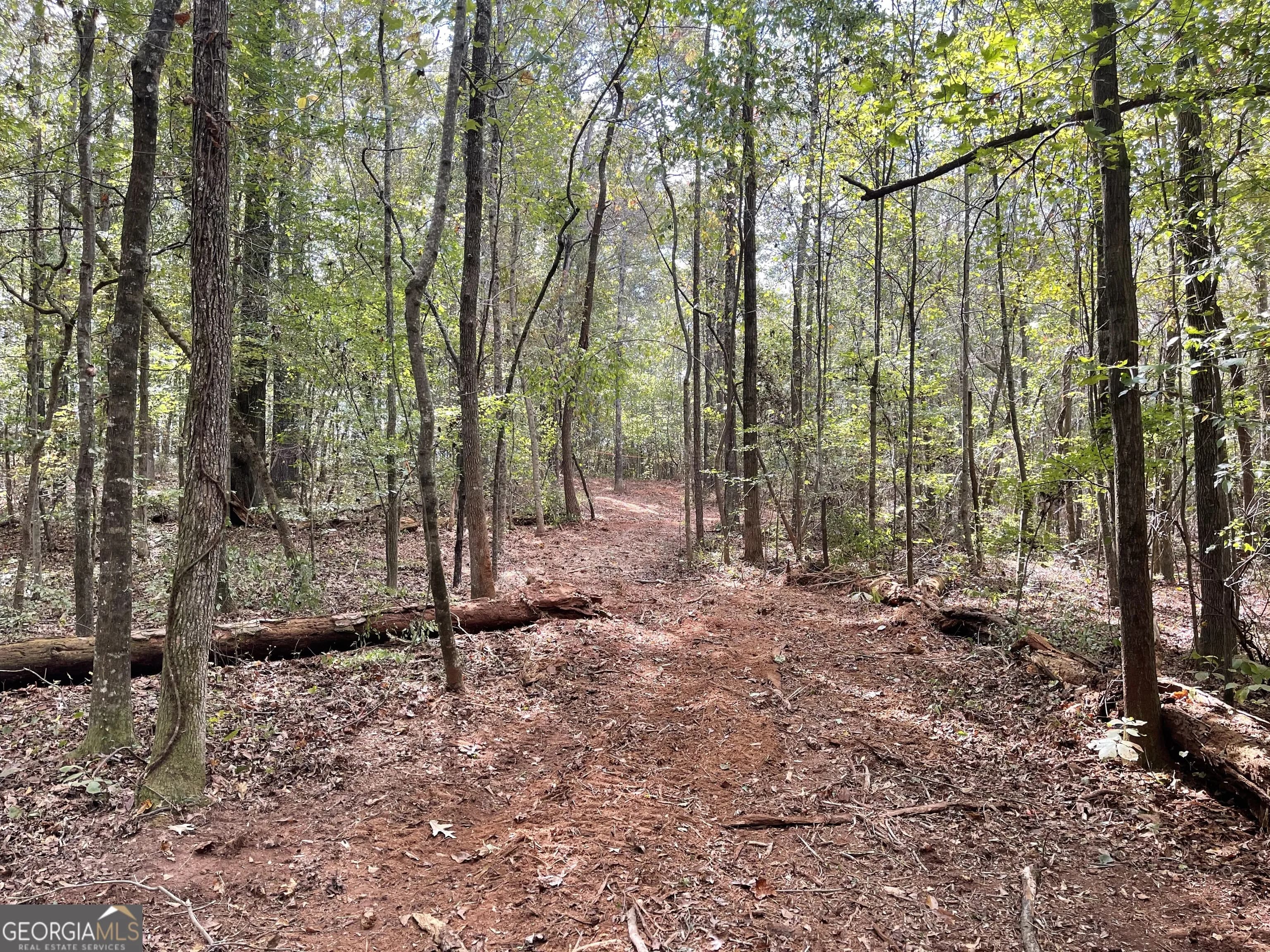 0 Buffalo Creek Rd — photo 8 of 49