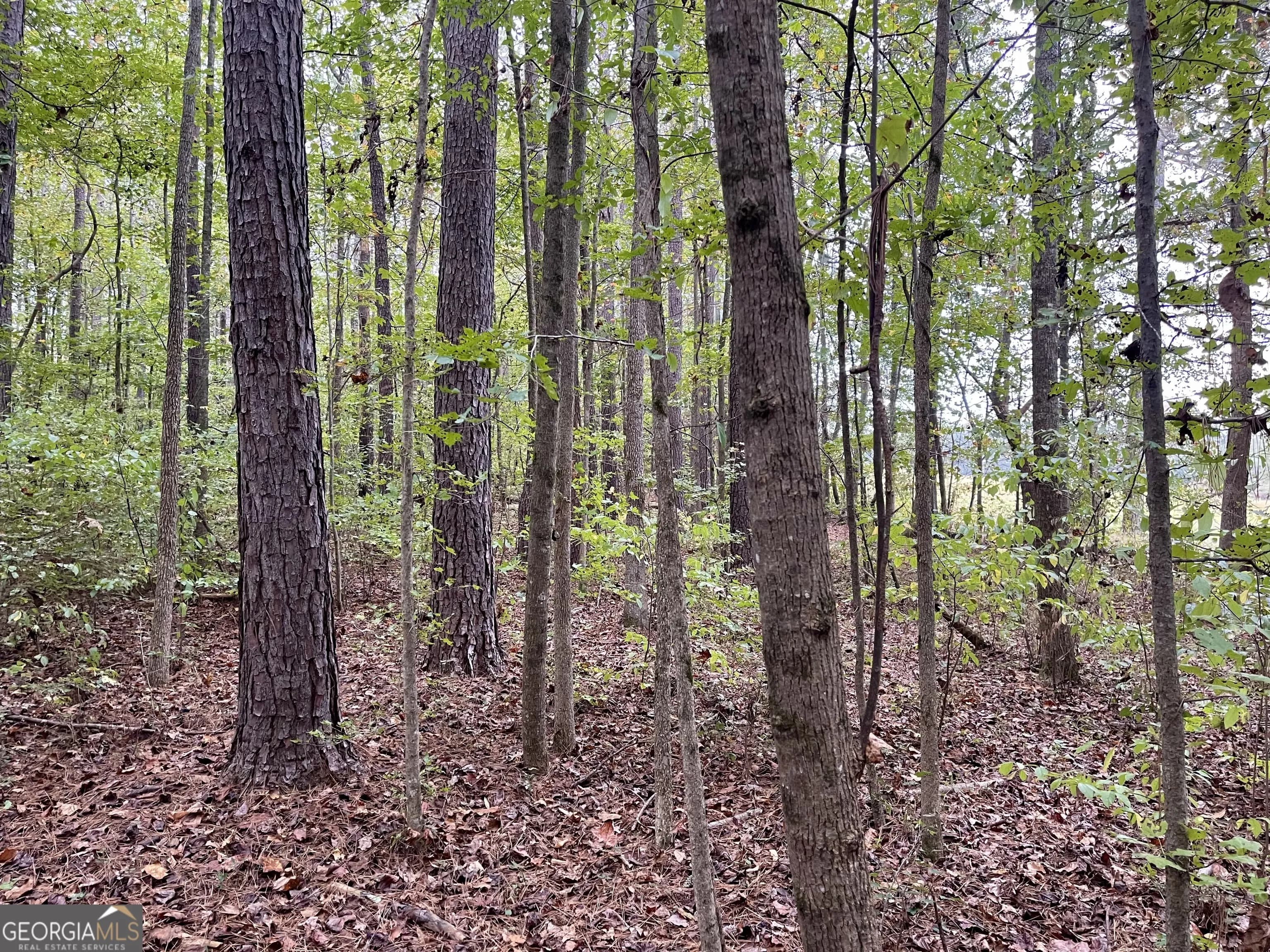 0 Buffalo Creek Rd — photo 27 of 49
