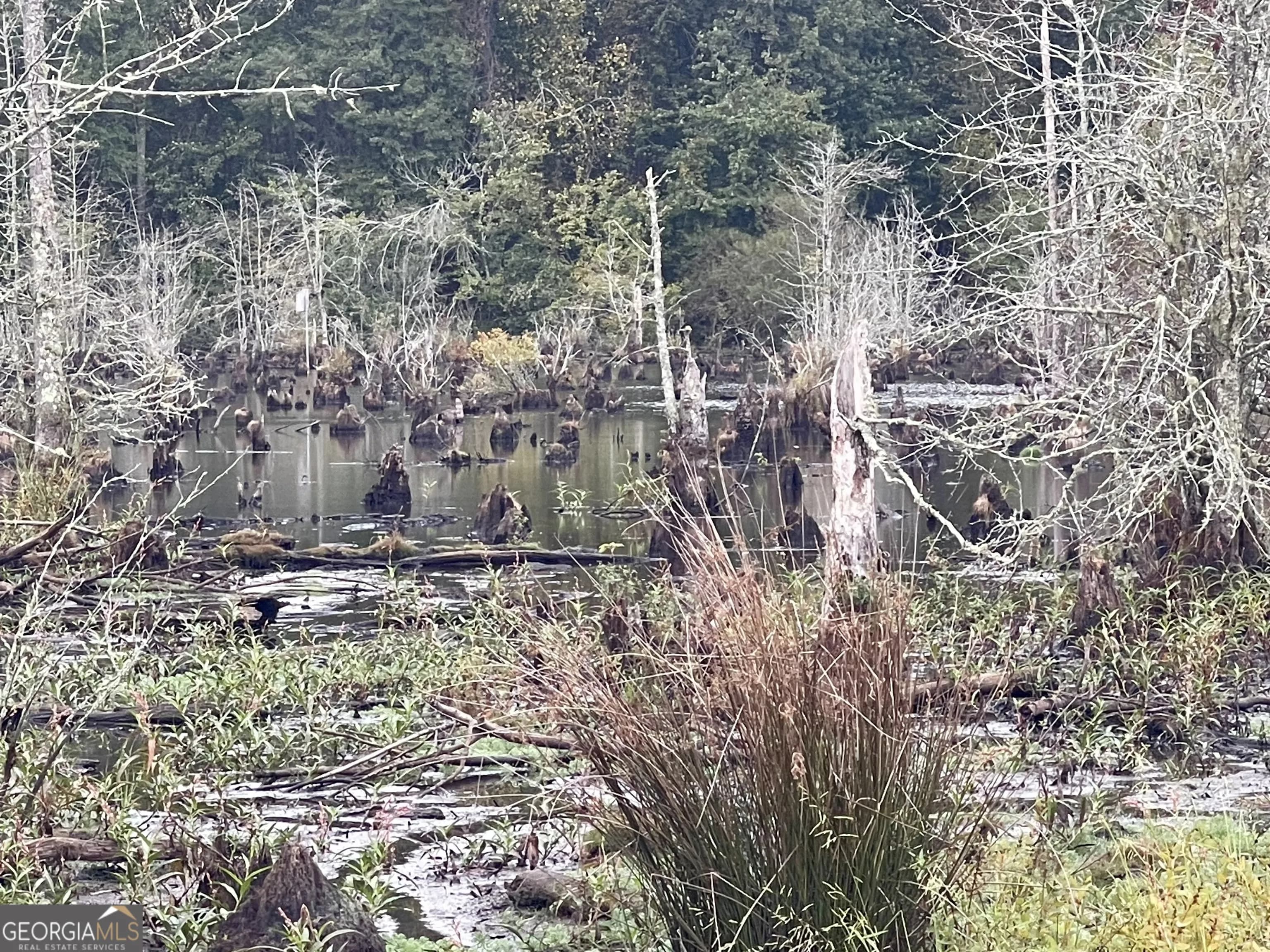 0 Buffalo Creek Rd — photo 30 of 49