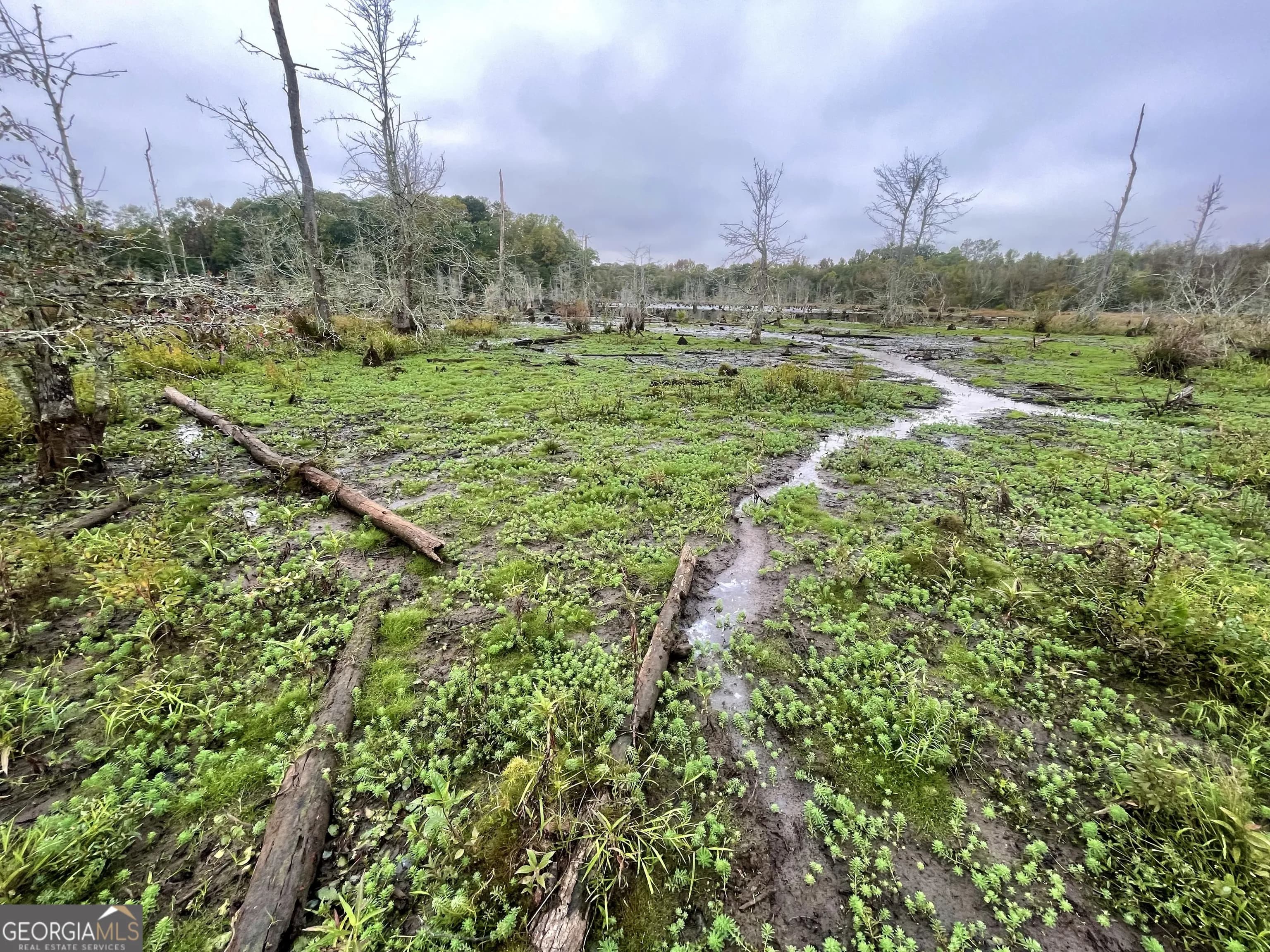 0 Buffalo Creek Rd — photo 33 of 49