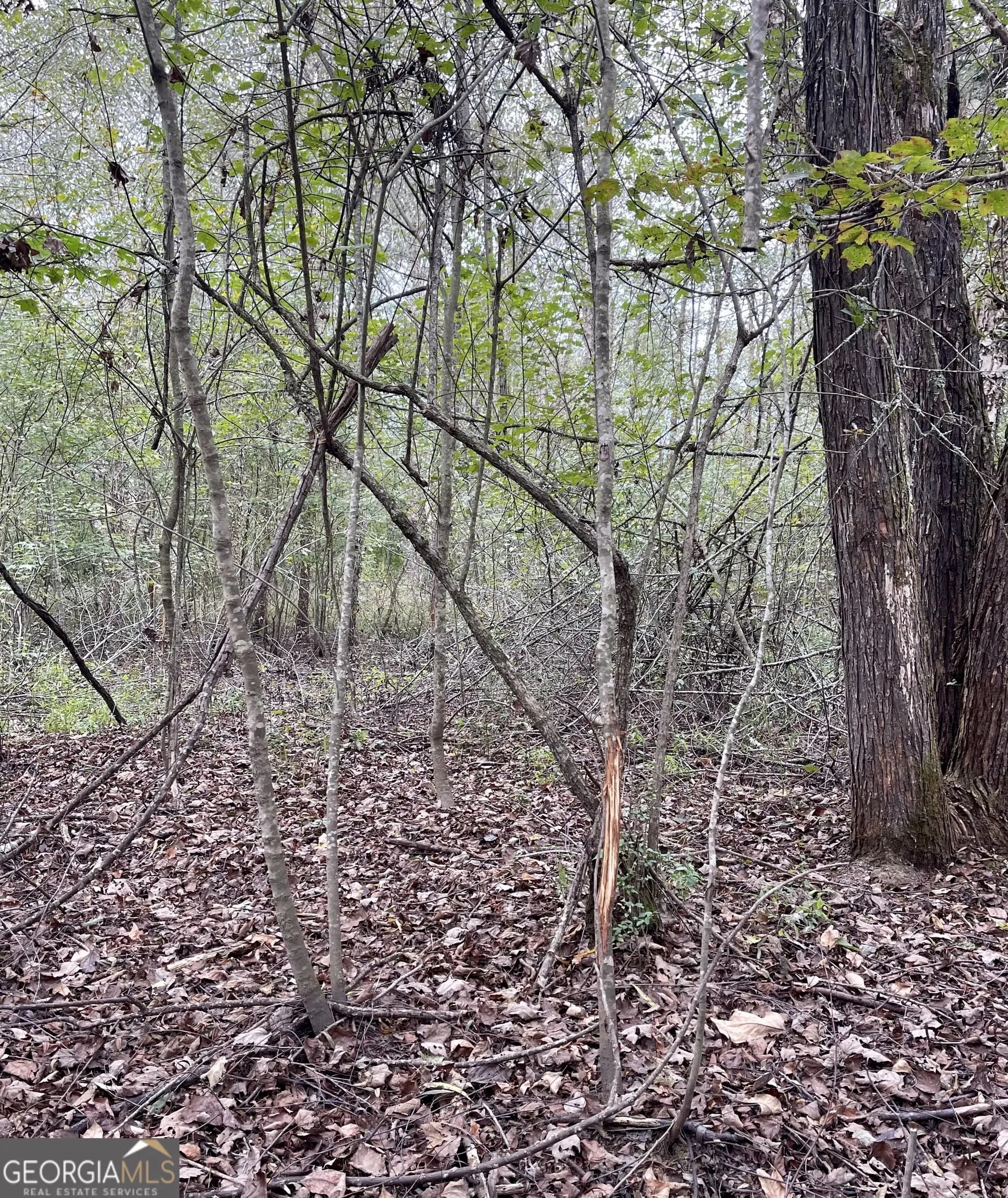 0 Buffalo Creek Rd — photo 14 of 49
