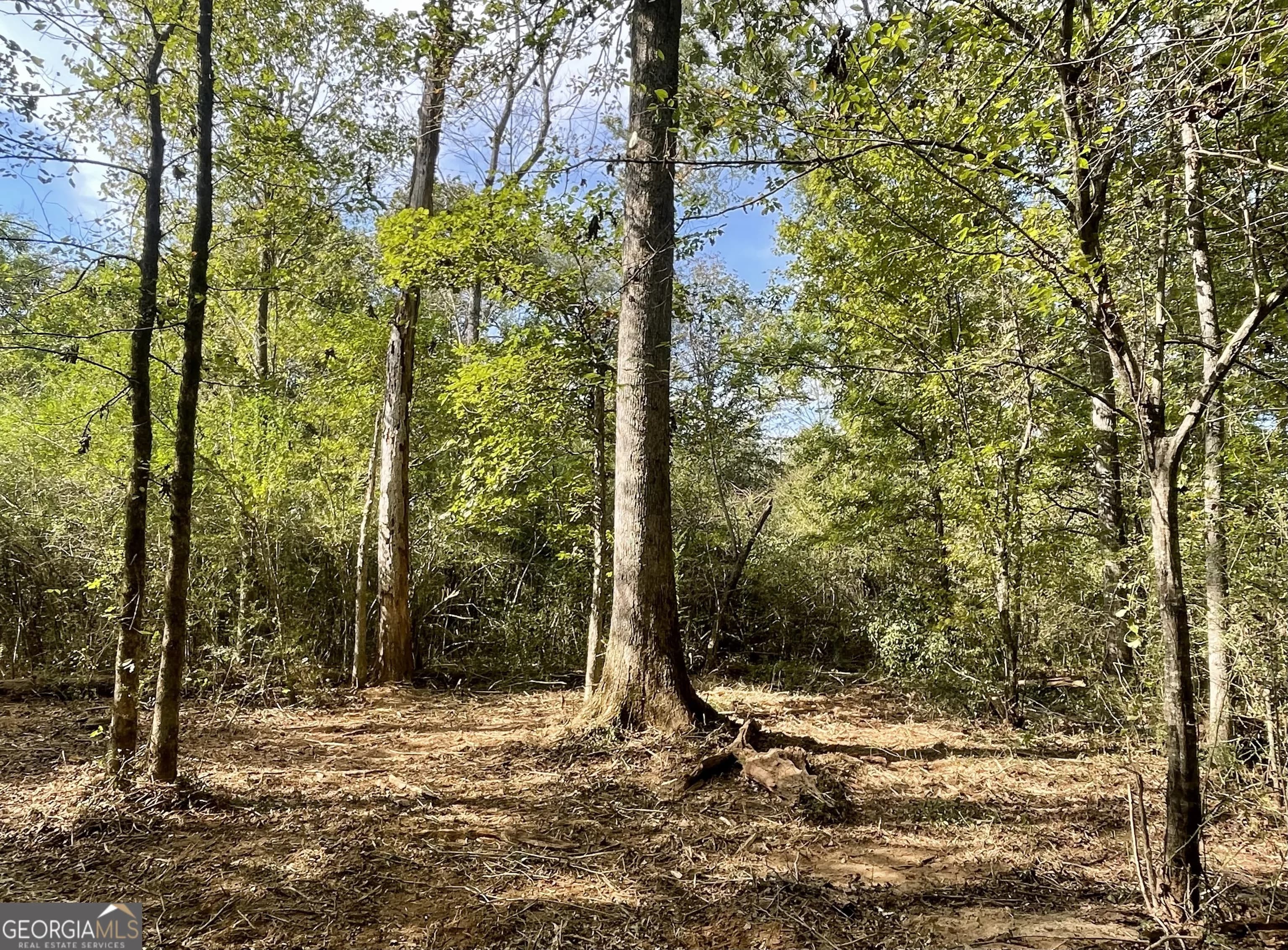 0 Buffalo Creek Rd — photo 2 of 49