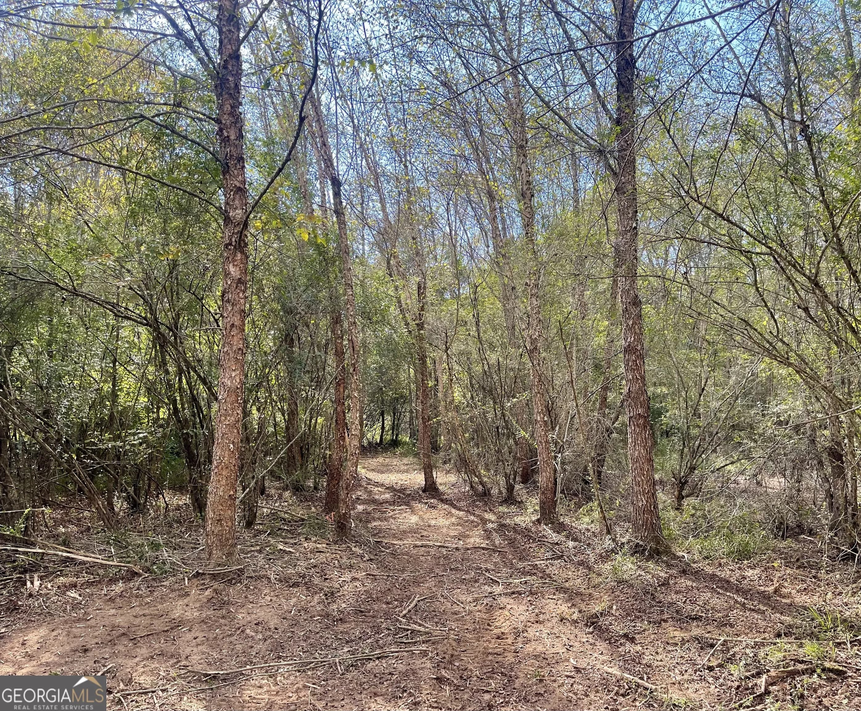 0 Buffalo Creek Rd — photo 35 of 49