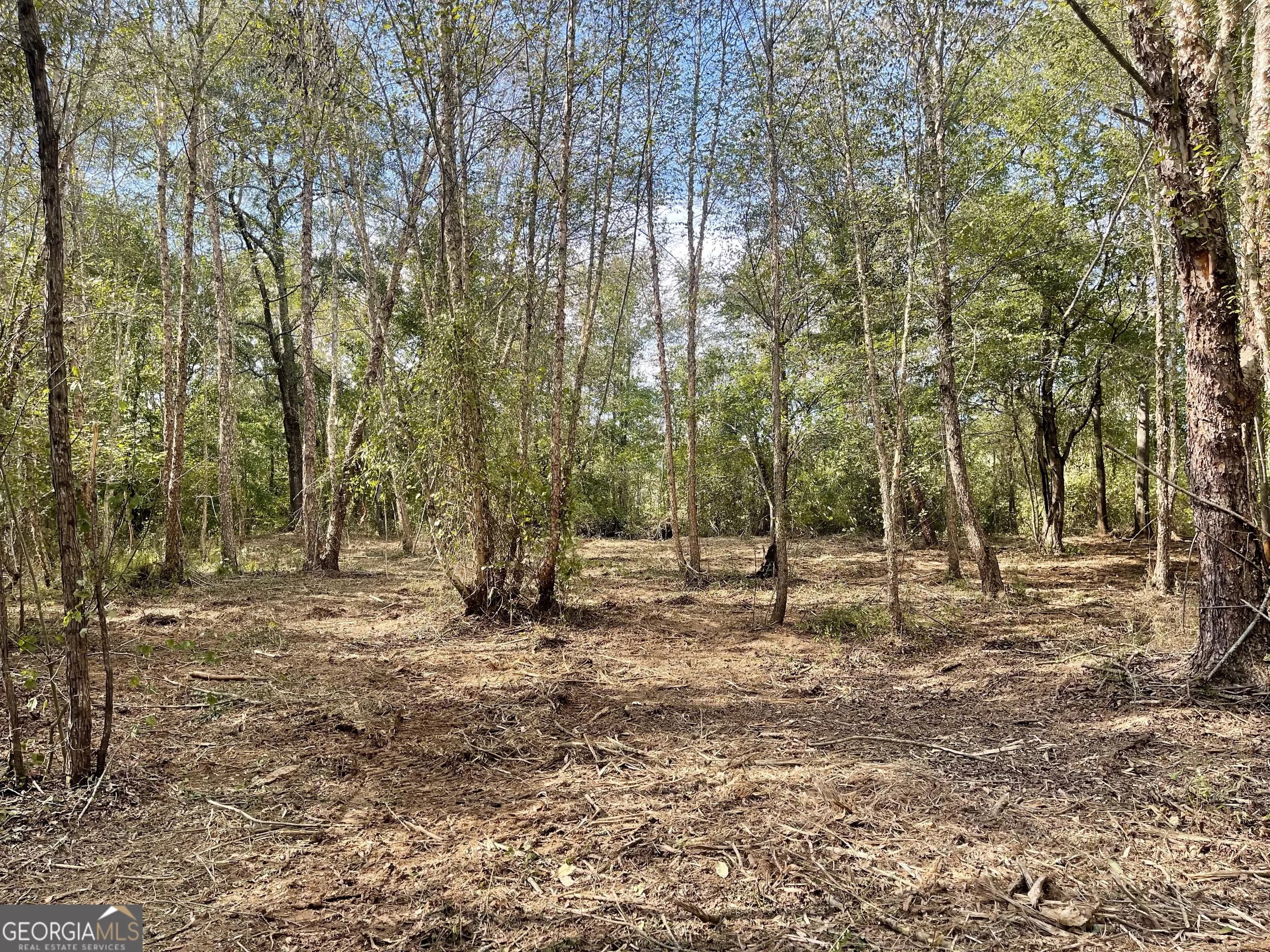 0 Buffalo Creek Rd — photo 45 of 49